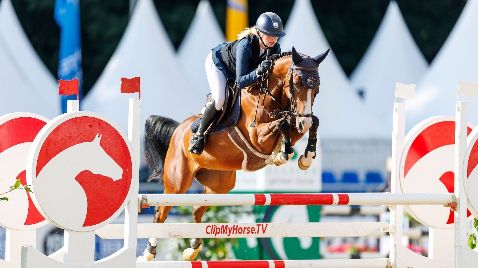 Del Drago ist Bundeschampion der 5-jährigen Springponys & Magic's Mogli ST ist Bundeschampion der 6-jährigen Springponys