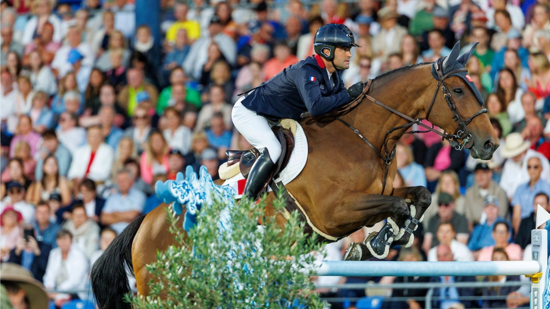 Robert Whitaker siegt im CSIO5* Grand Prix von Hickstead