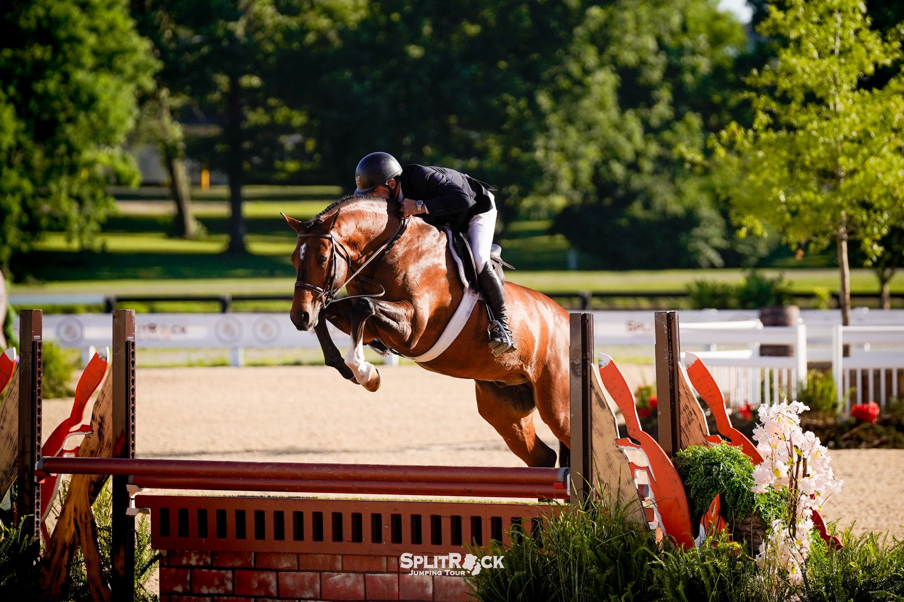 Reminder: USHJA Rule Changes are in Effect for 2026