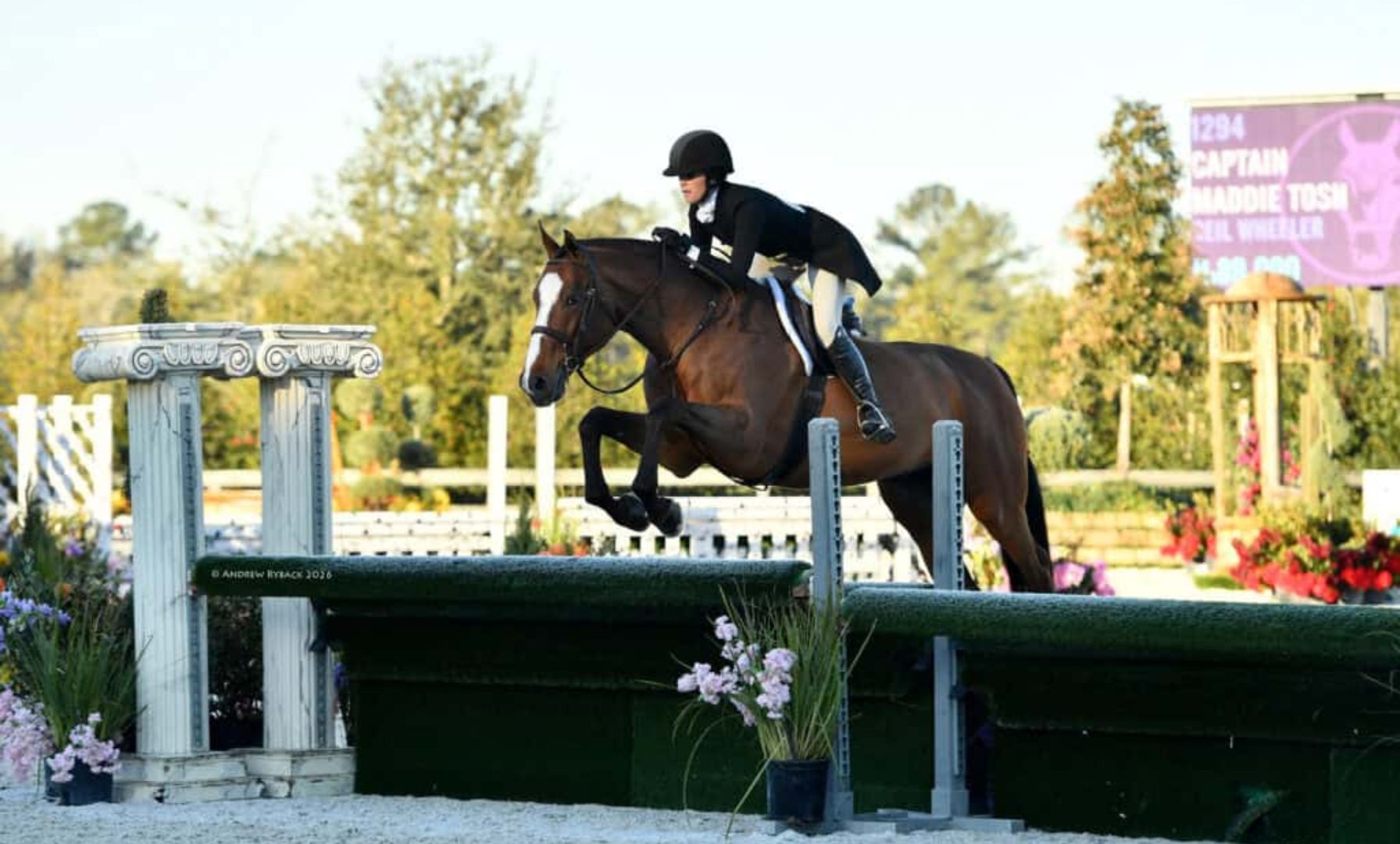 Maddie Tosh and Captain Capture Victory in $15,000 UF Veterinary Hospital USHJA National 3’ Open Hunter Derby