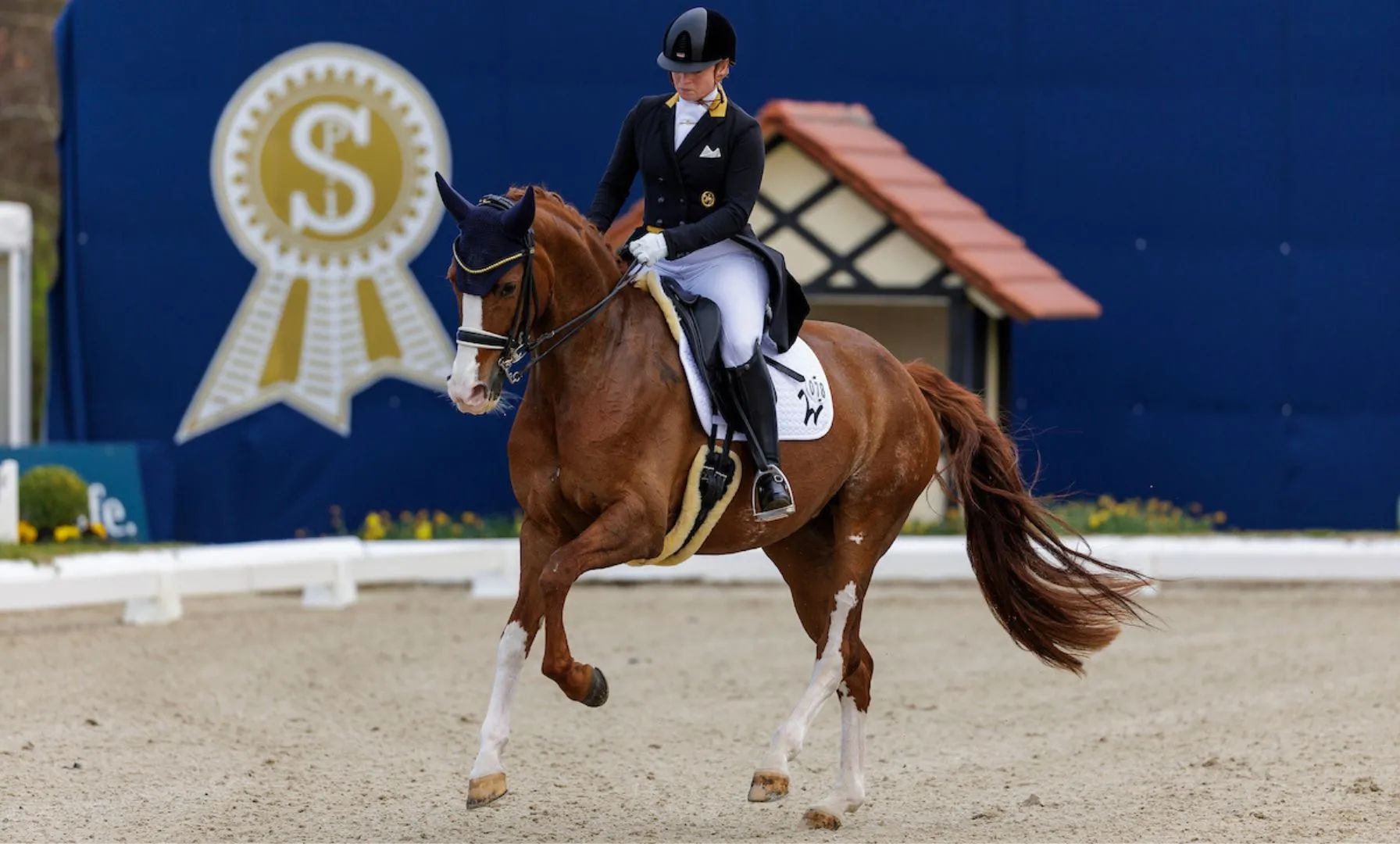 Isabell Werth siegt im Grand Prix Special von Lier