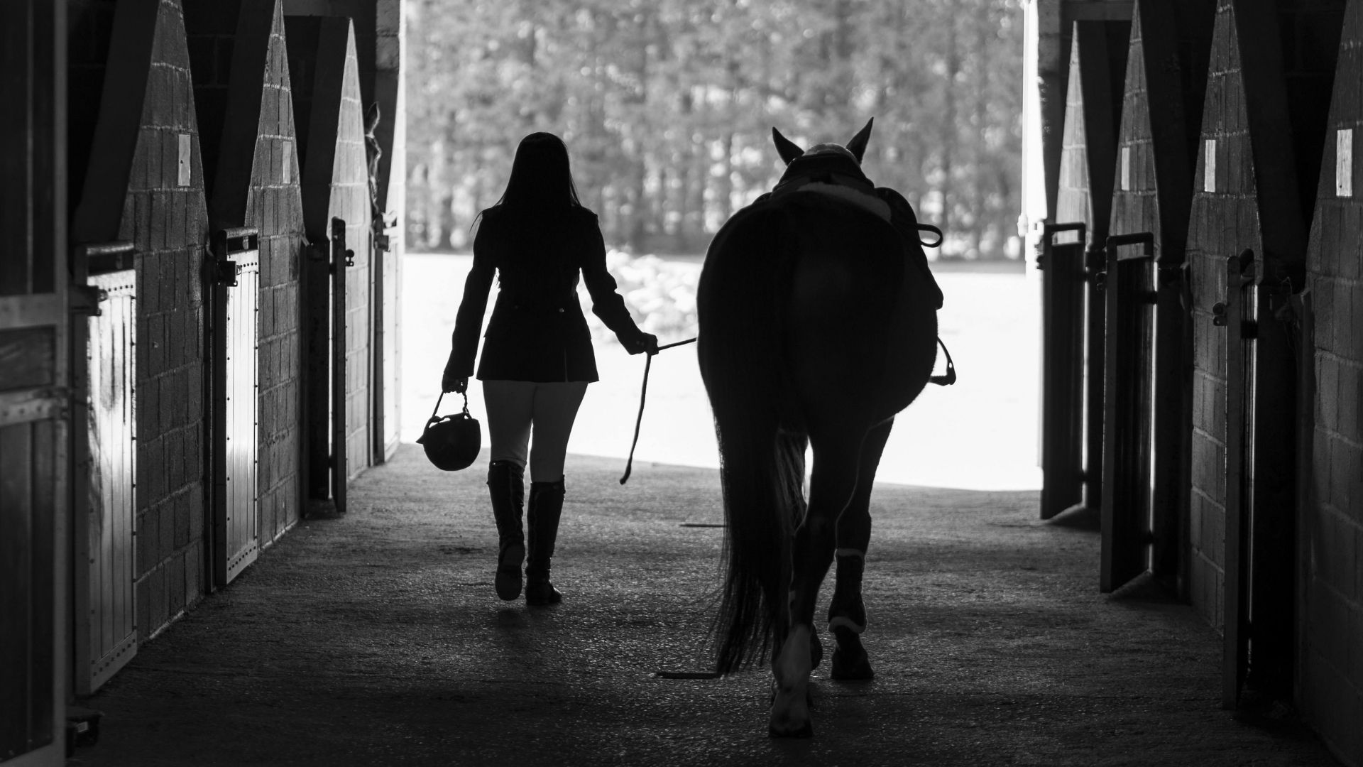 Tragischer Unfall bei Stal Ceulemans – 22-jährige Mitarbeiterin verstorben