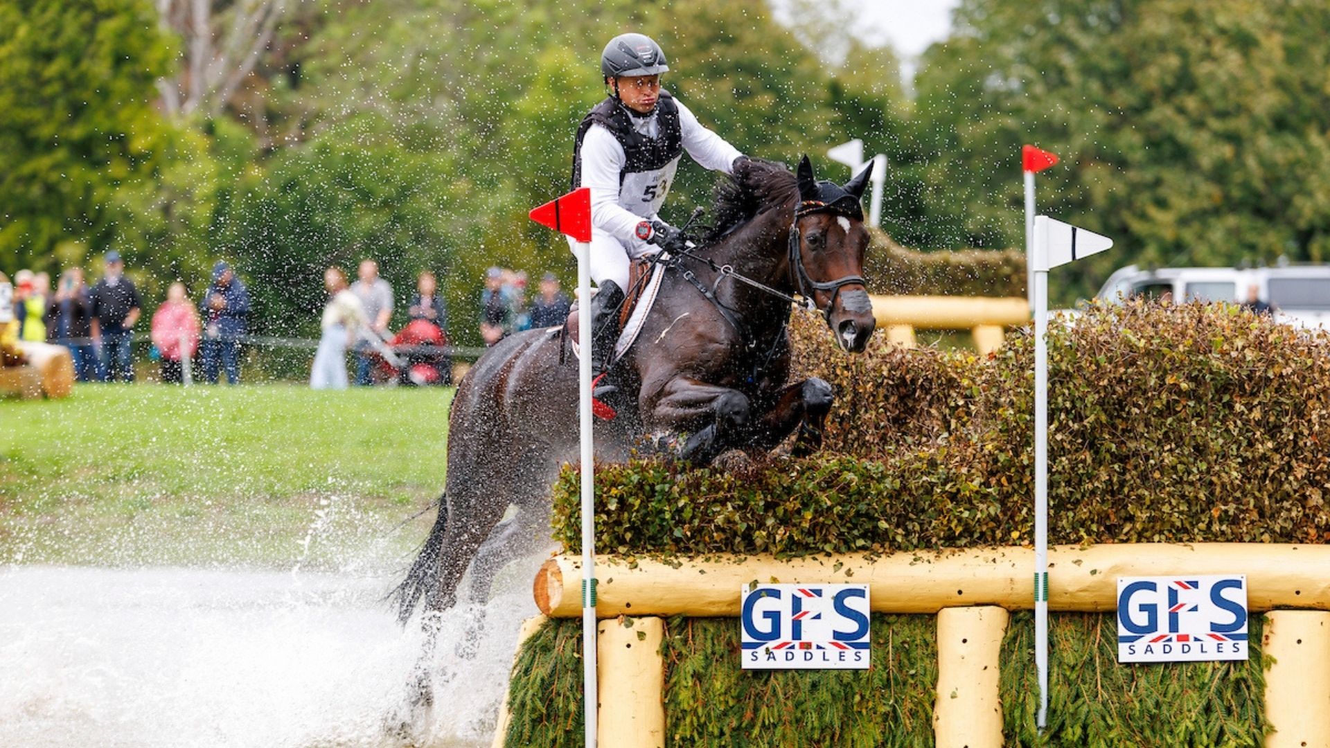 Team Deutschland führt weiterhin bei den FEI Eventing European Championship in Blenheim Palace!
