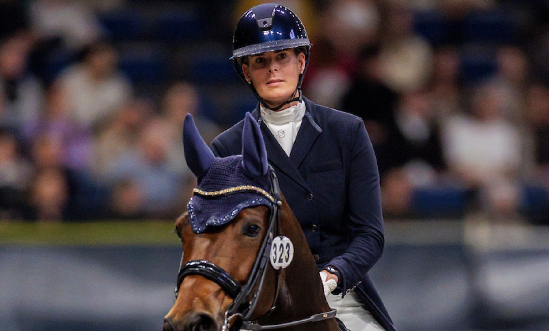 Jorinde Verwimp's Horse No Surrender Passes Away