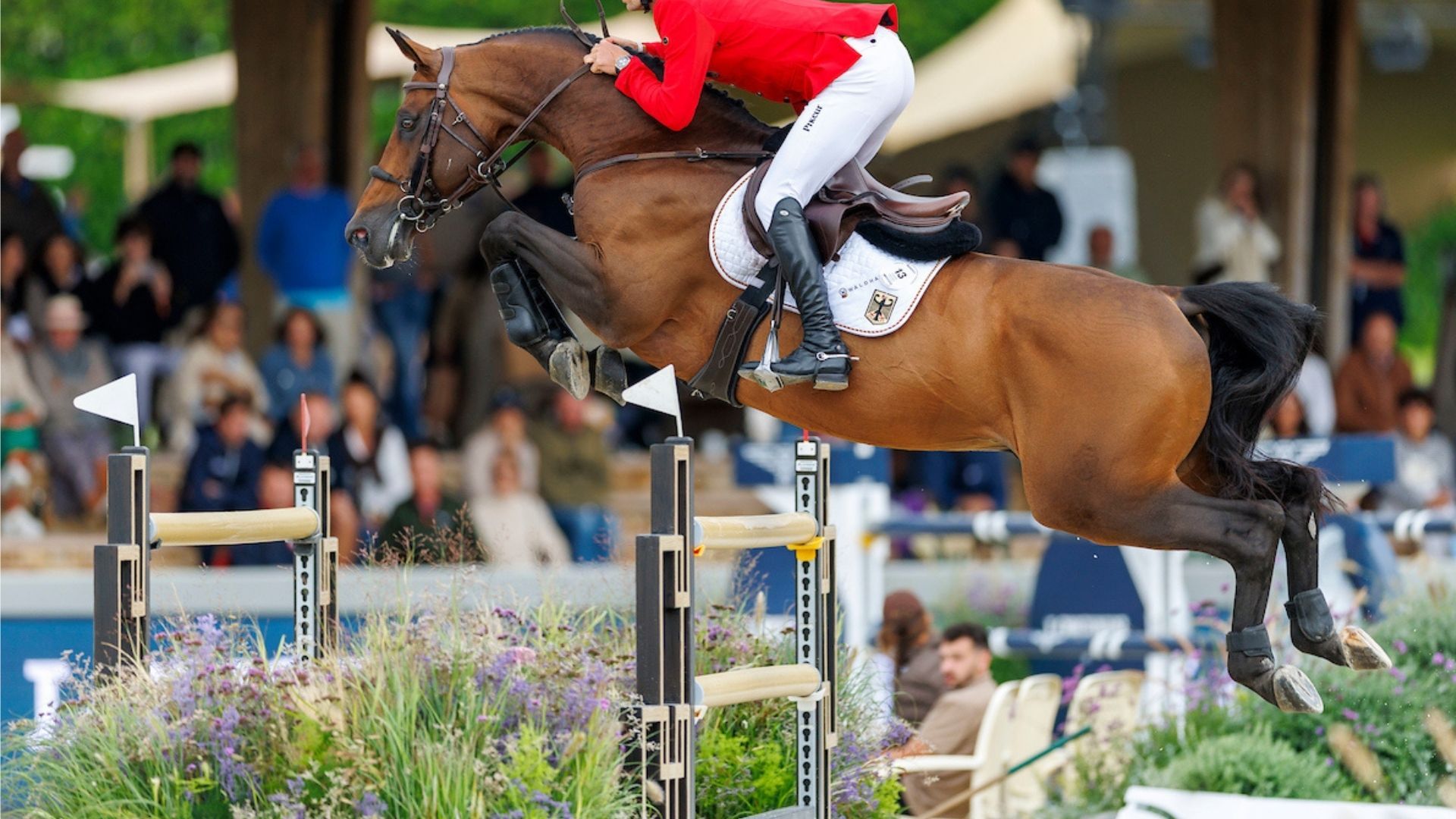 GCL London feiert Champions im Hall of Fame