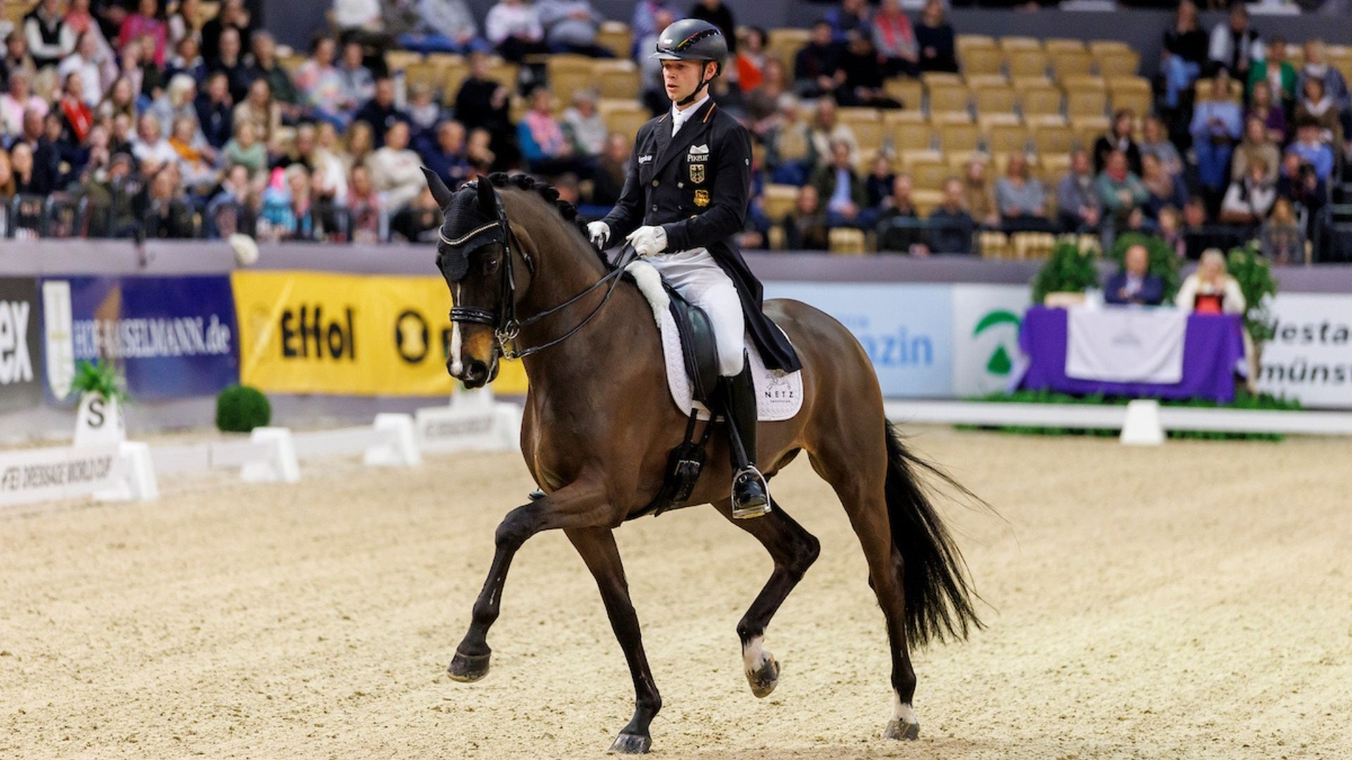 Erfolgreiche Berufsreiter des Wochenendes