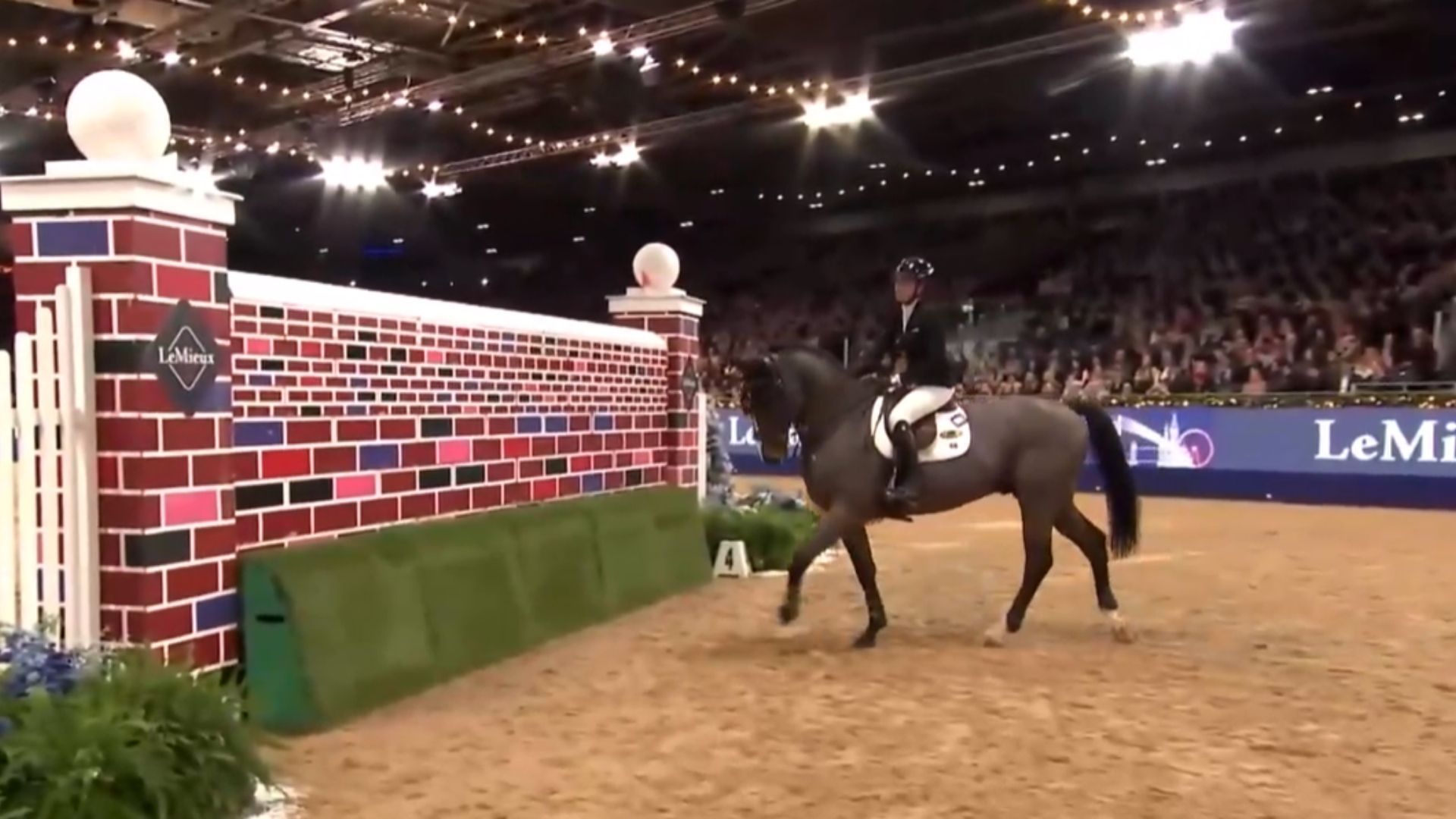 Rachel Proudley and Easy Boy Win the LeMieux Puissance in London