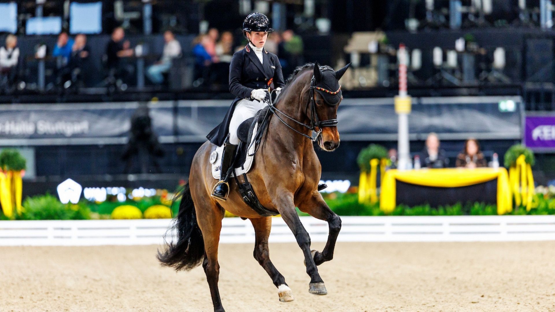 Jana Lang gewinnt die erste Dressurprüfung in Stuttgart 2025!