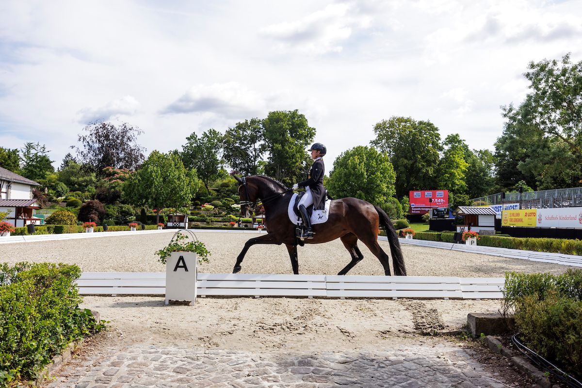 Isabell Werth gewinnt Intermediaire I mit Skovens Tzarina
