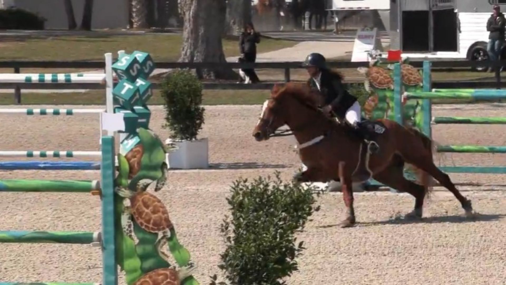 Lisa Goldman-Smolen Captures the $60,000 FarmVet Grand Prix