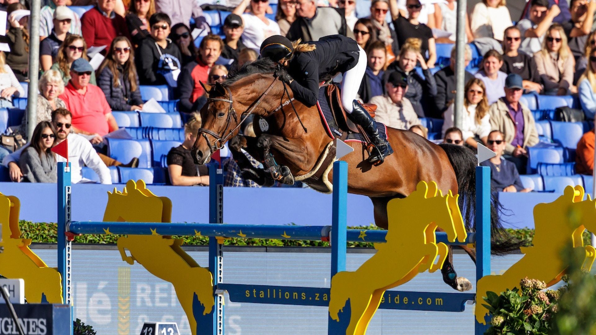 Kelly Cornelis übergibt ihre 7-jährige AES-Stute an Karl Cook