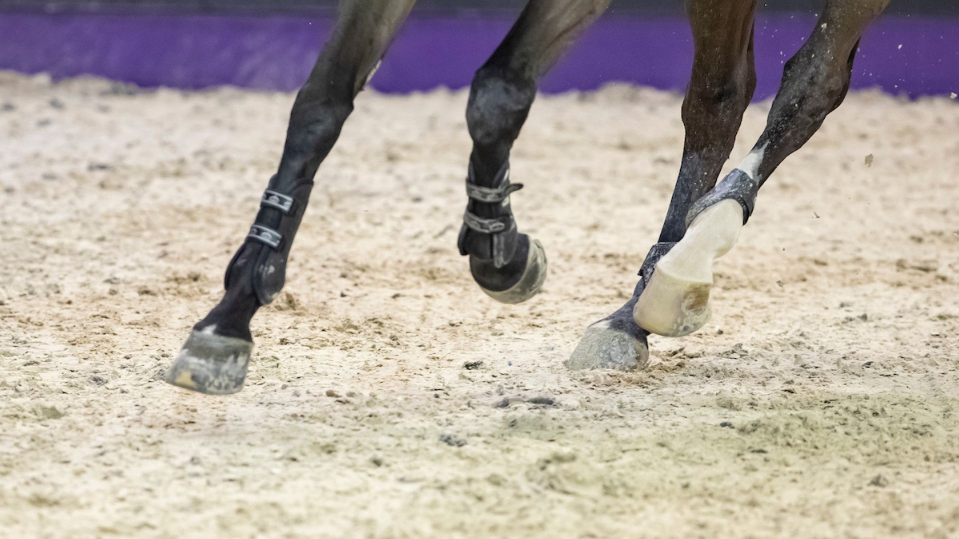 USEF Opportunity Fund vergibt 90.500 US-Dollar an 13 Projekte