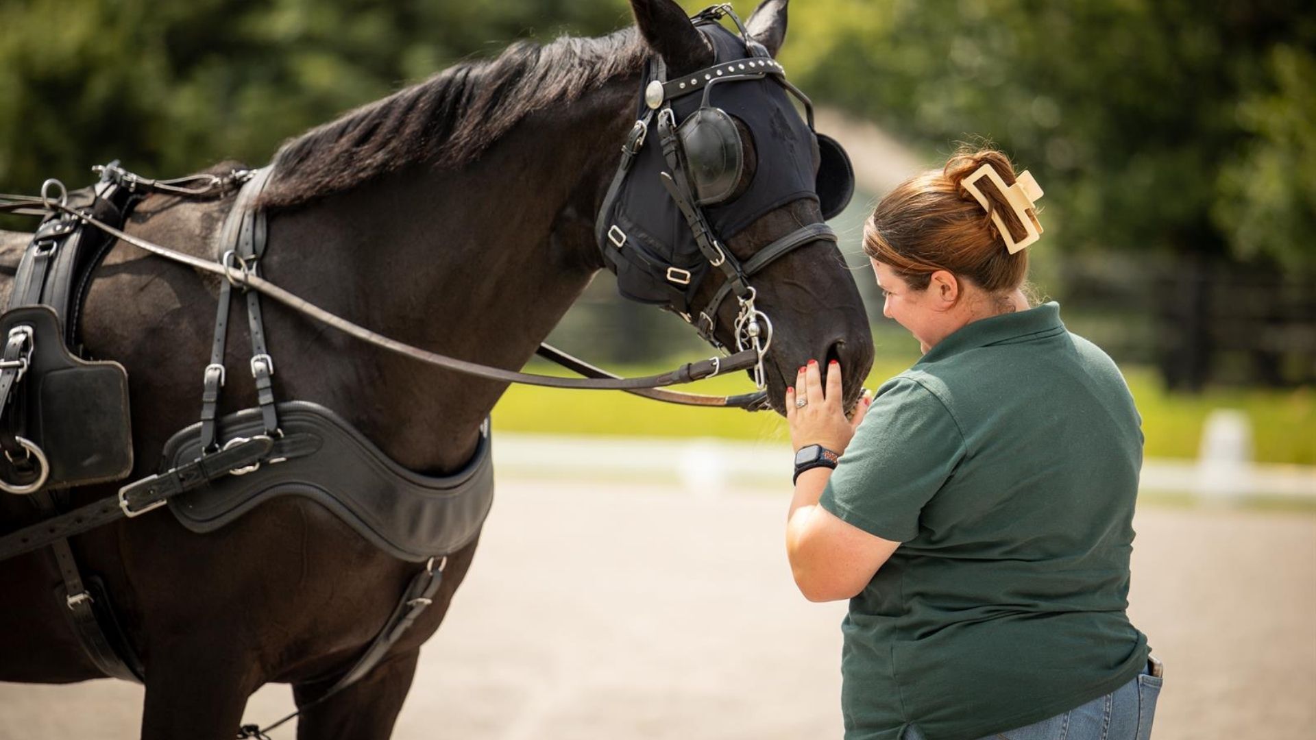 USEF Launches a Chef d'Equipe Apprentice Program for Combined Driving