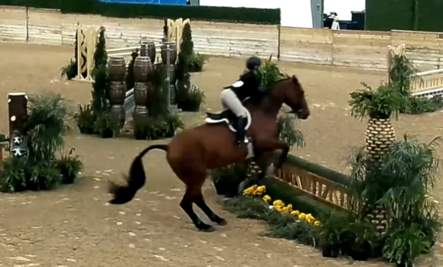 Ivy Lampert Clinched Champion in the WEC – Wilmington Medal Final 3’ & 3’3”