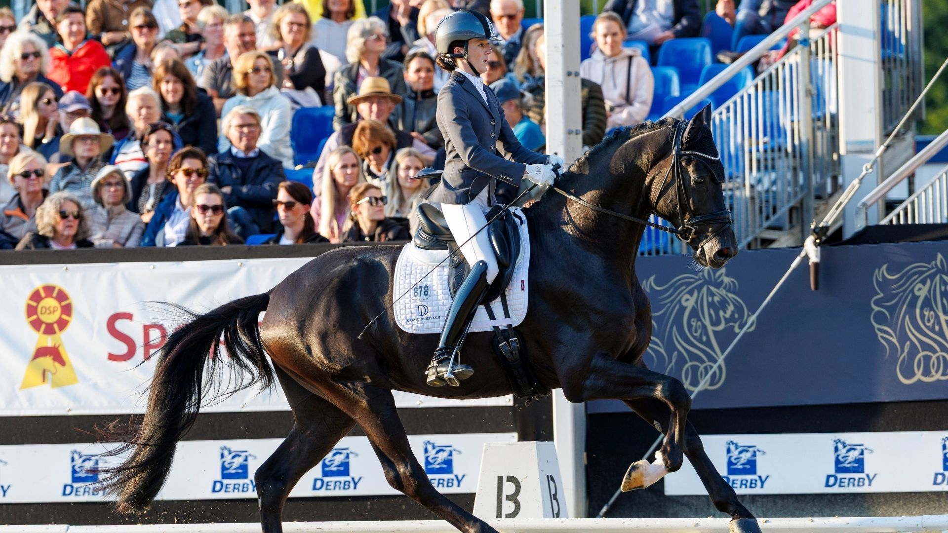 Reitpferdeprüfung und Pony Reitpferdeprüfung: Siegreich für Beck’s in black & Grenzhoehes Negretto