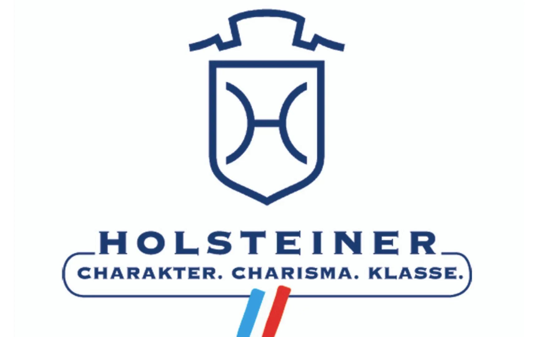 Verbandshengste zeigen sich in Elmshorn