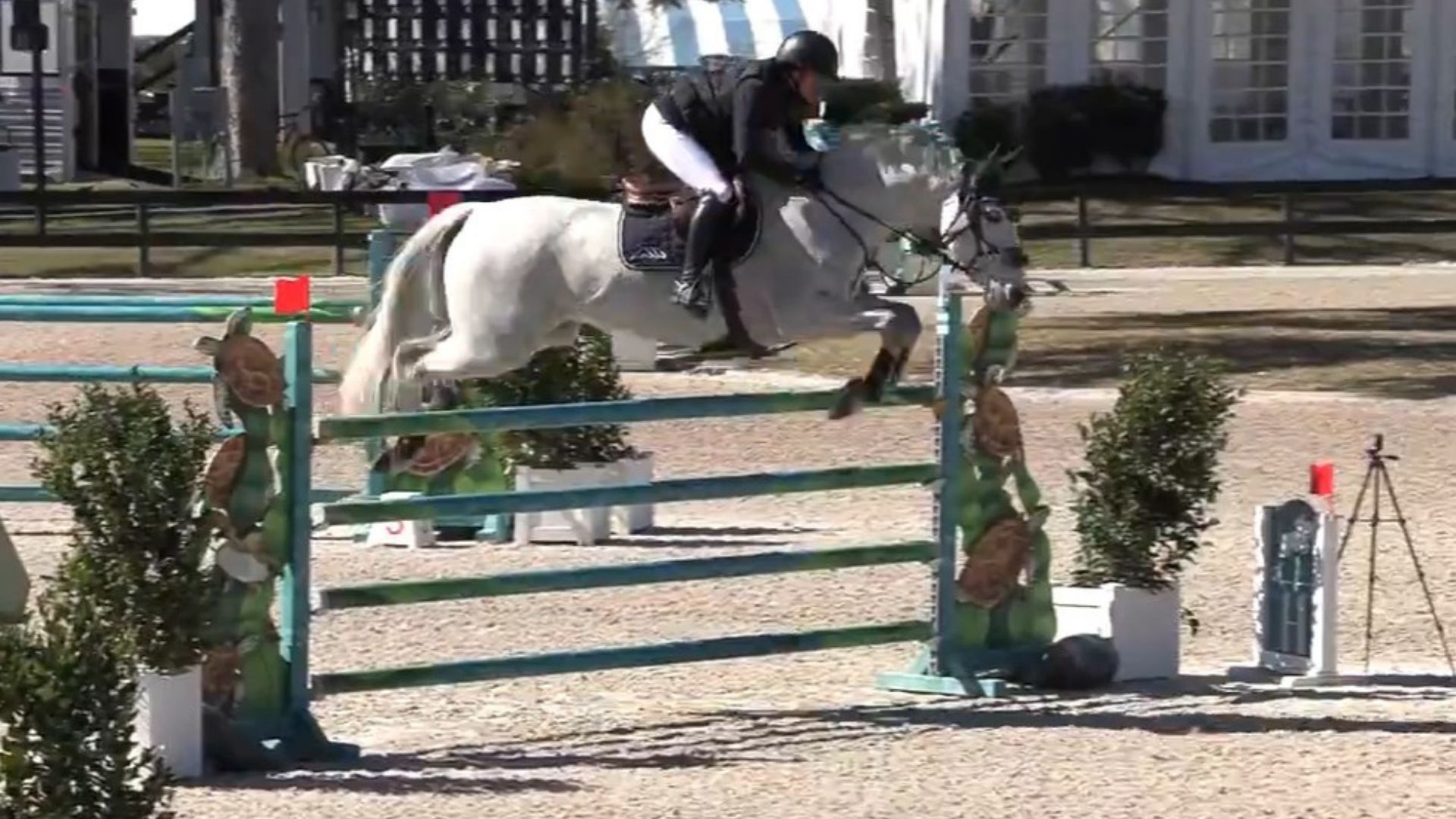 Julie Welles and Her Boy Fly to Victory in the HorseFlight Jumper Classic