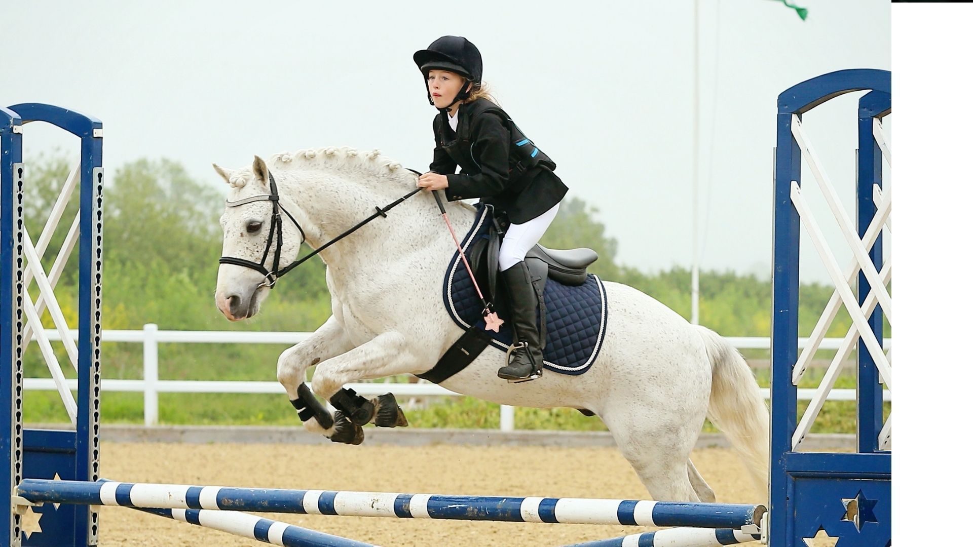 USHJA and Gochman Family to Continue Their Partnership