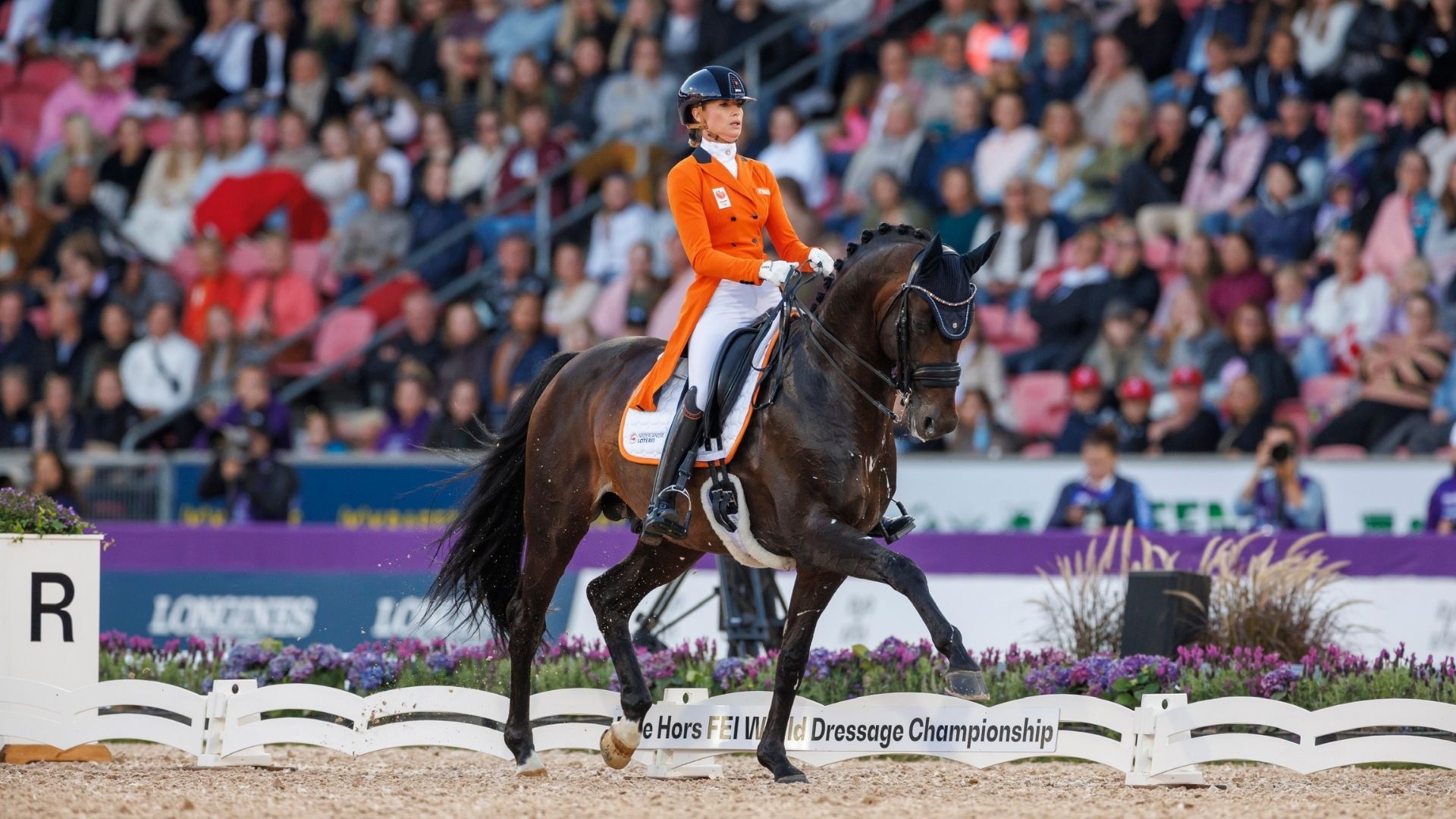 Comeback von Hermès und Dinja van Liere!