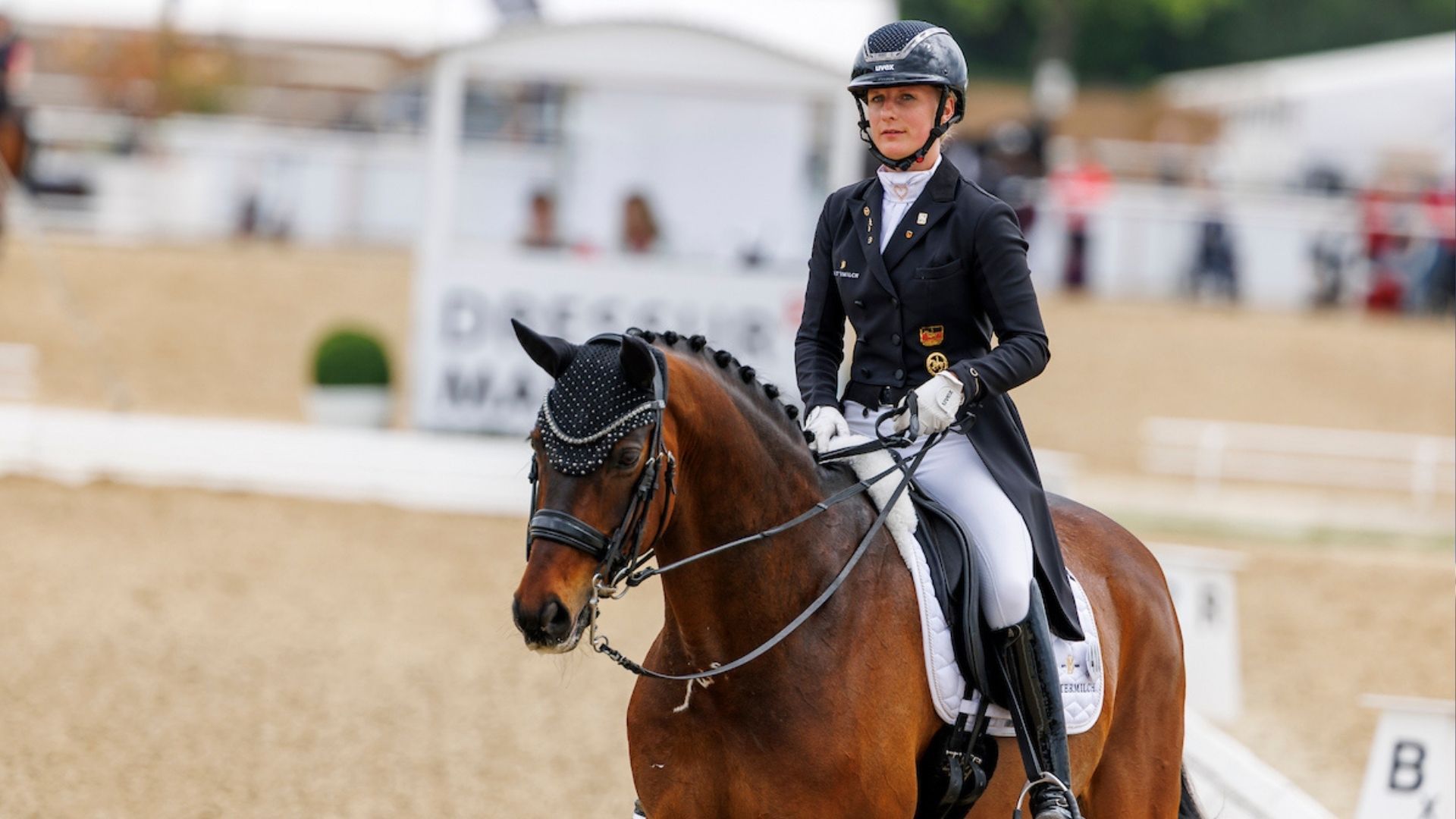 Queolito wechselt von Bianca Nowag-Aulenbrock zur Junioren-Europameisterin 2024