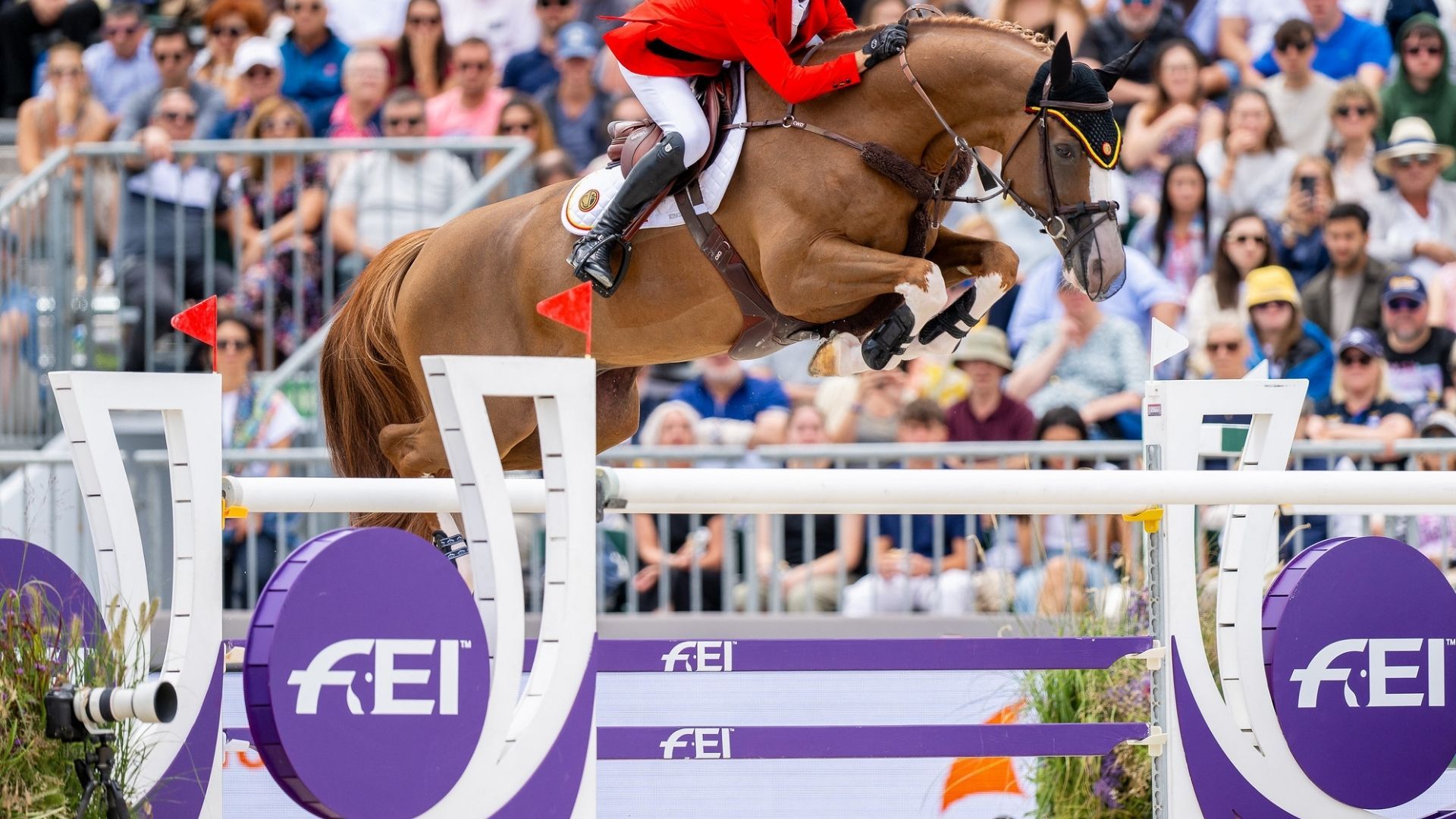 FEI richtet Stakeholder-Forum zur Ausrüstung im Springsport aus