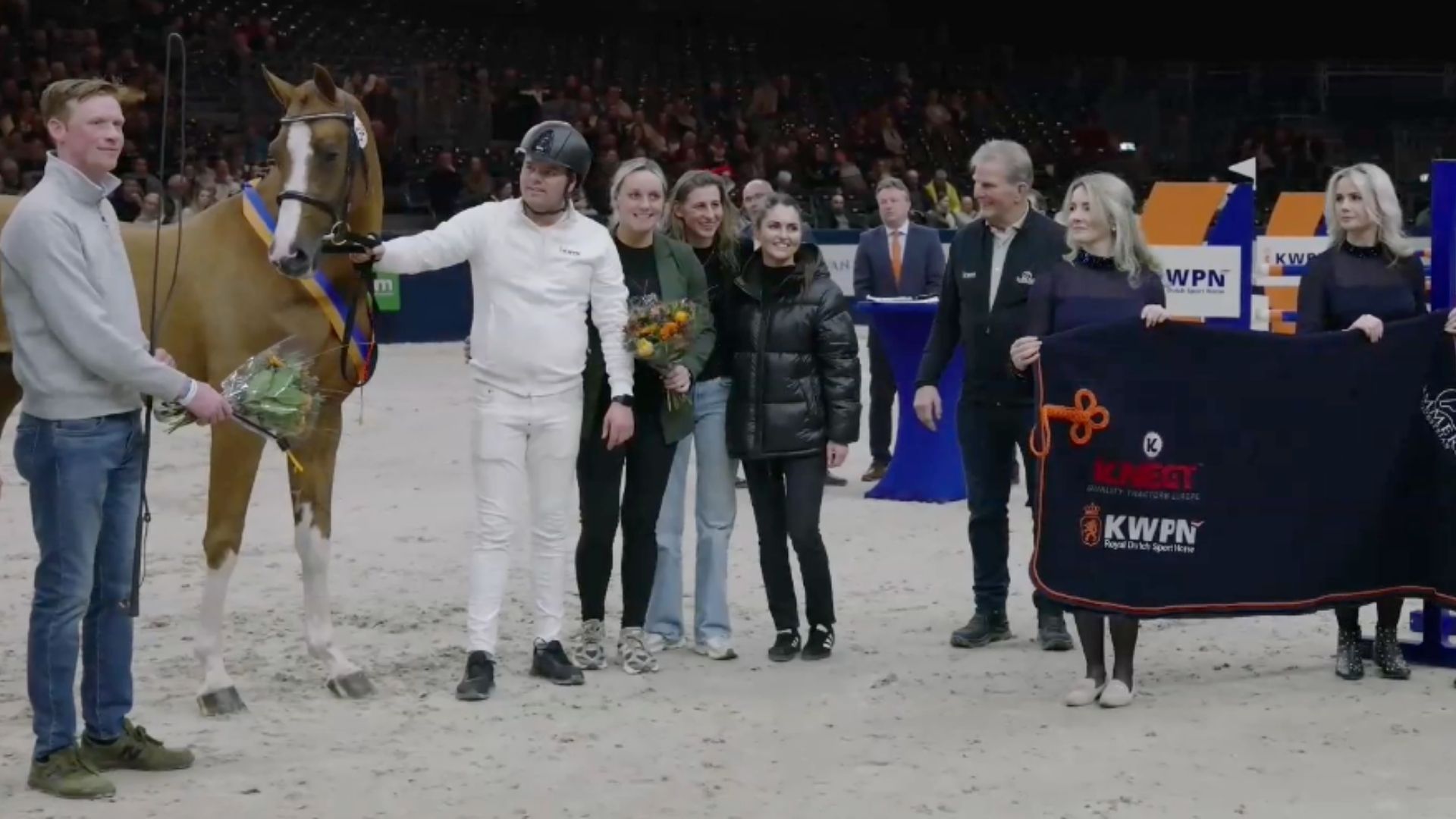 Crescendo van de Boxem Z ist Siegerhengst der KWPN-Körung 