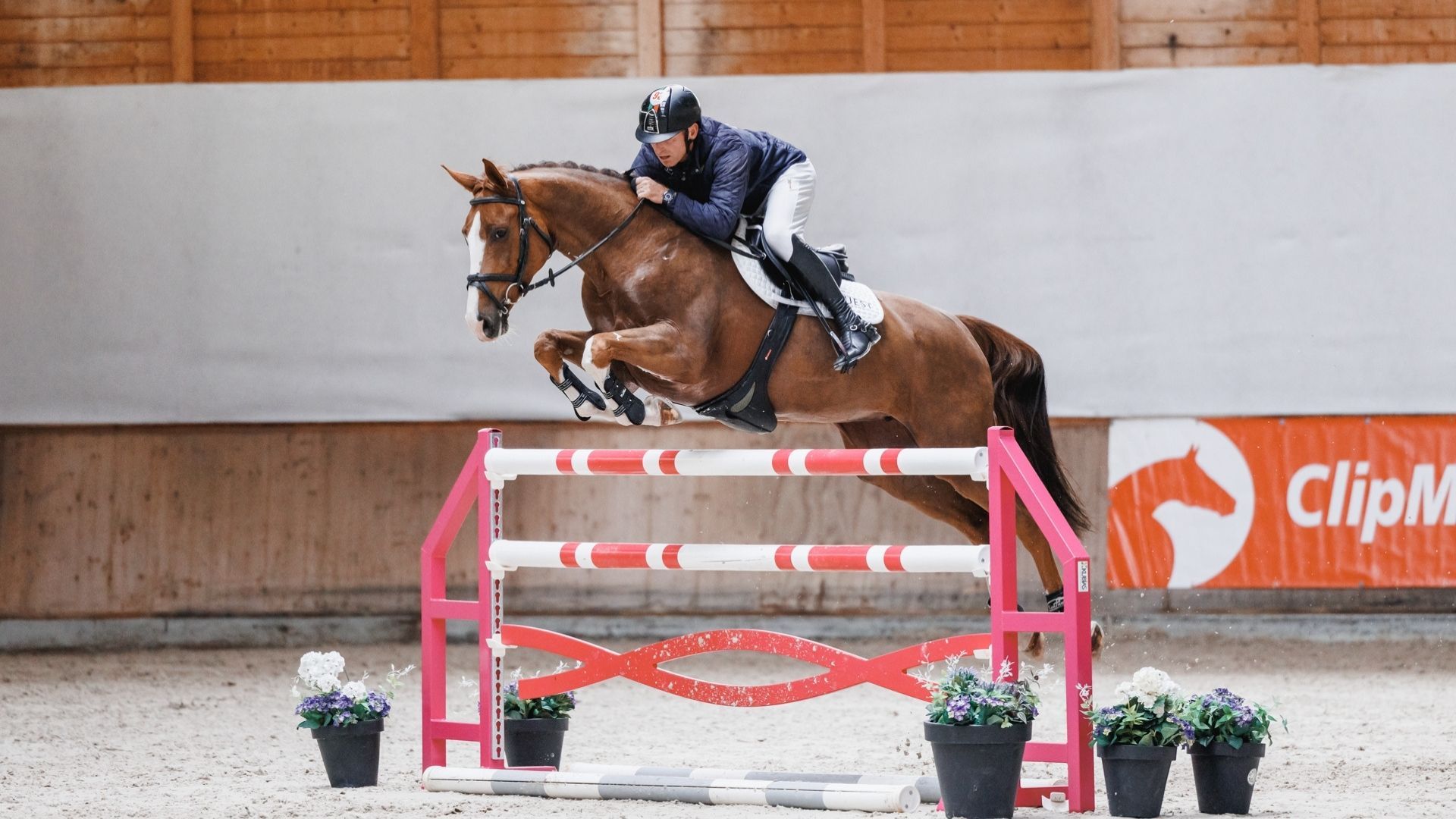 Equest Auction 4th edition