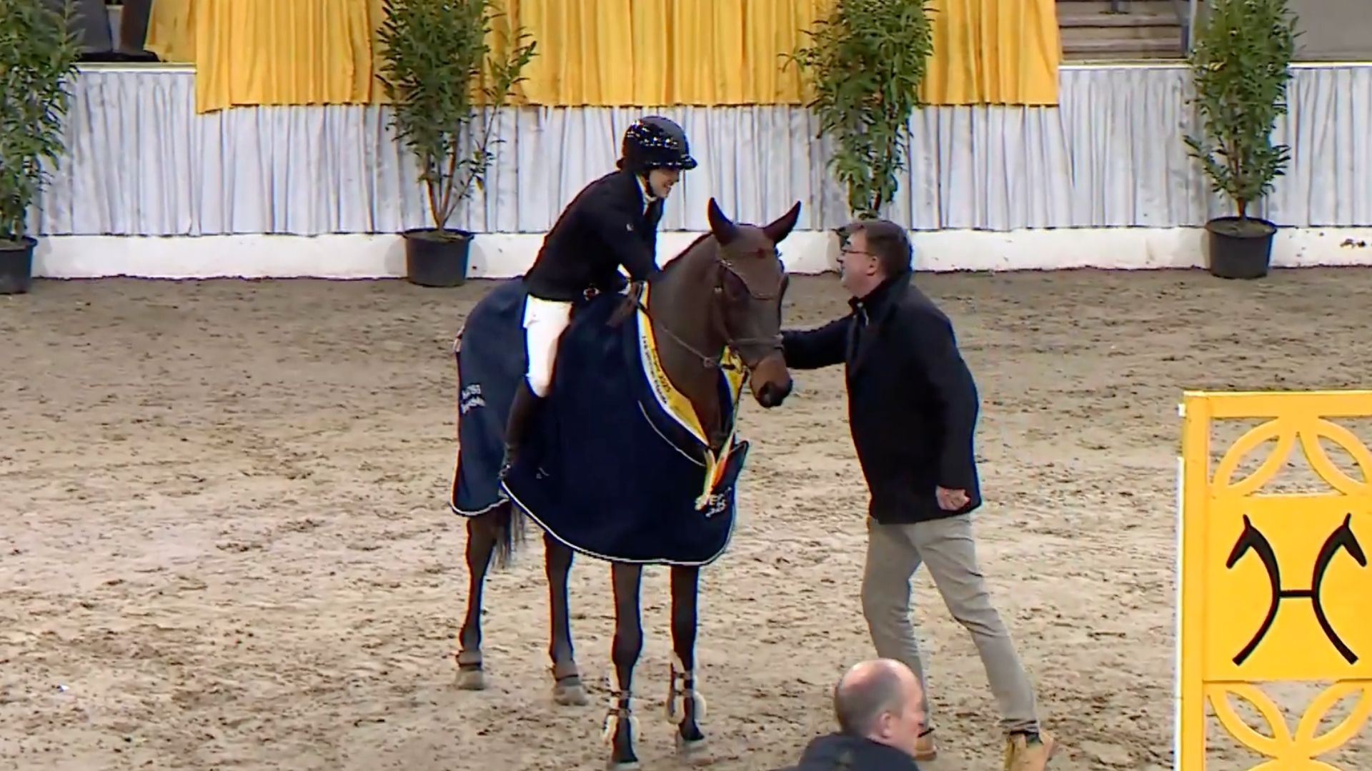 Action hero wird Hannoveraner Springpferdemaster der 7- und 8-Jährigen!