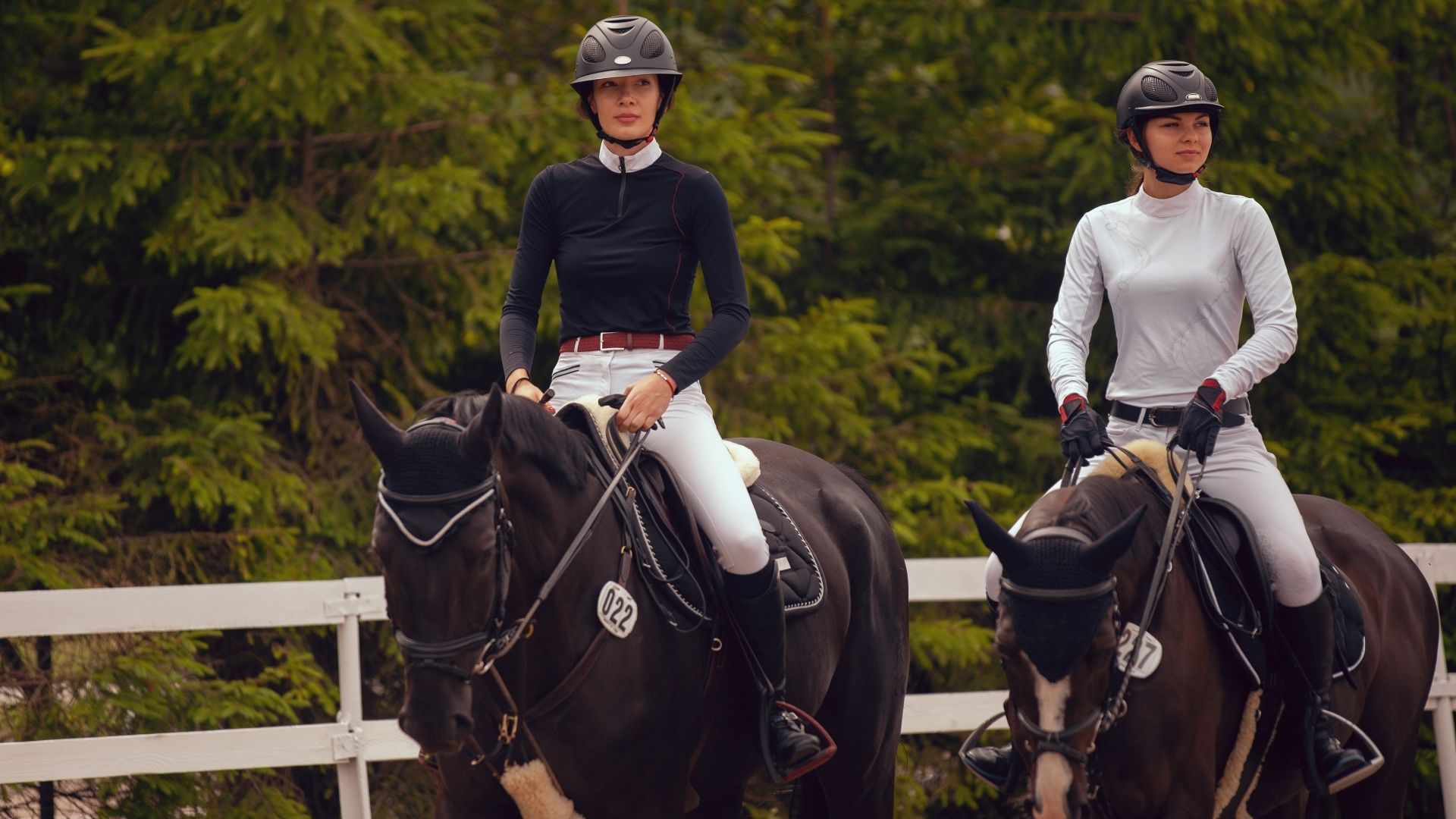 FN-Turniertalk: Kostenloses Online-Seminar für Turnierreiter