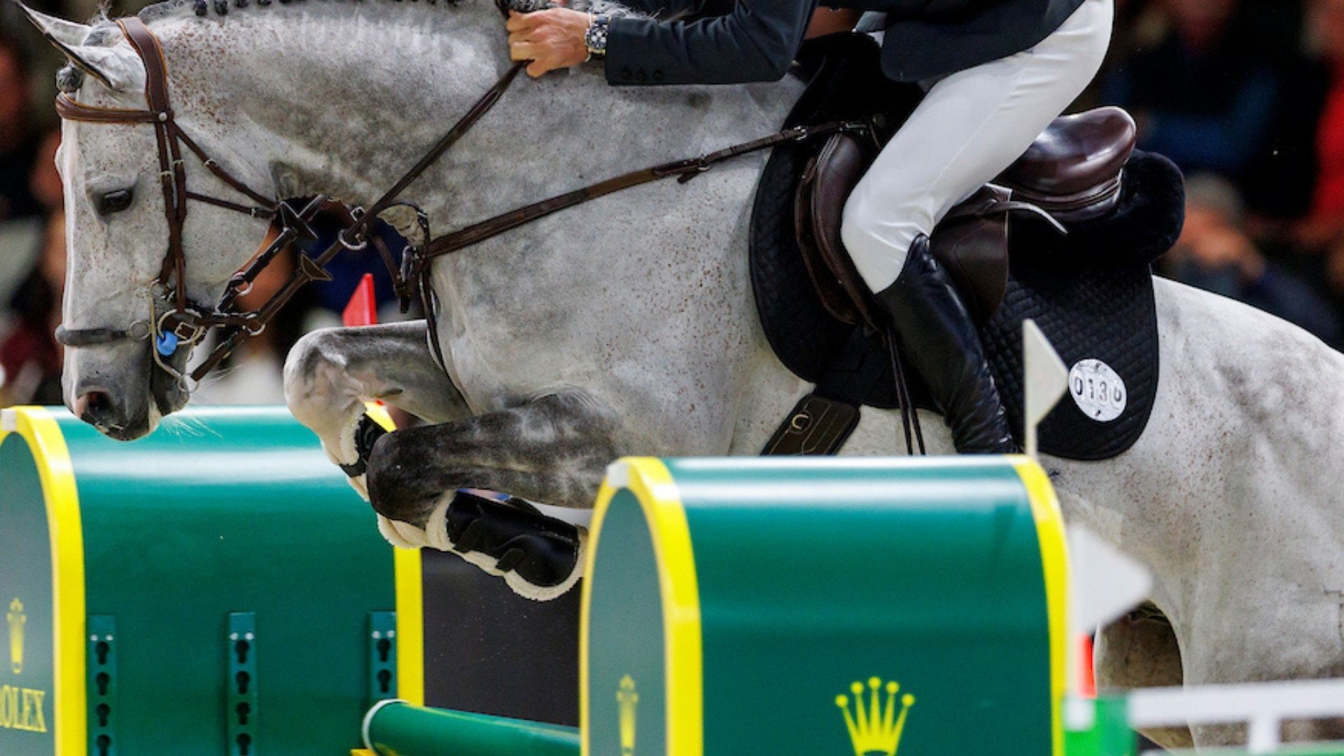 CSI5*-Wettbewerb in Dinard - Europameister am Start