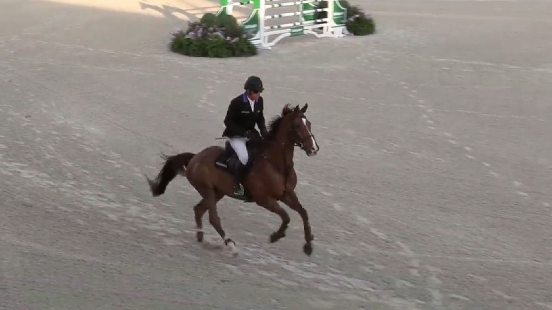 Aaron Vale Wins the First Jumper Class at WEC Ocala Week IV