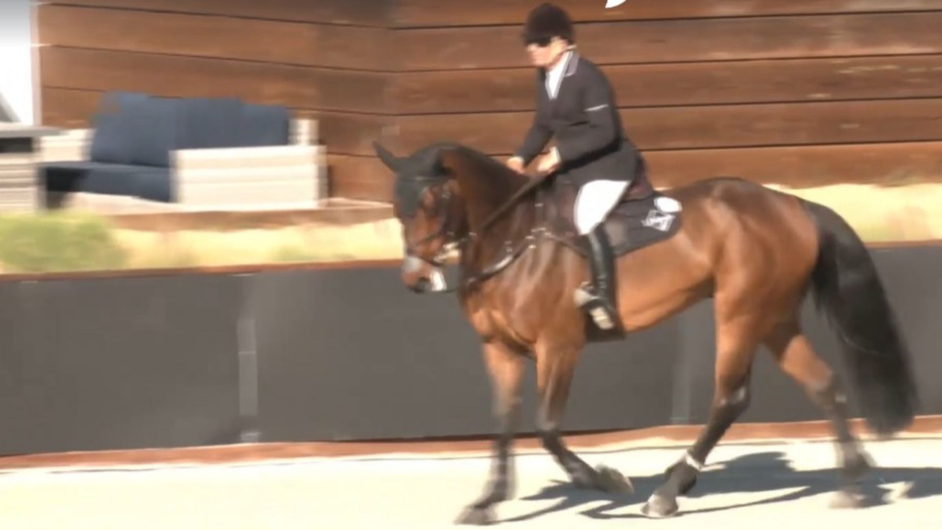 Aaron Vale and Messbluecento PS Win First MLSJ Class of the Week at Palm Springs