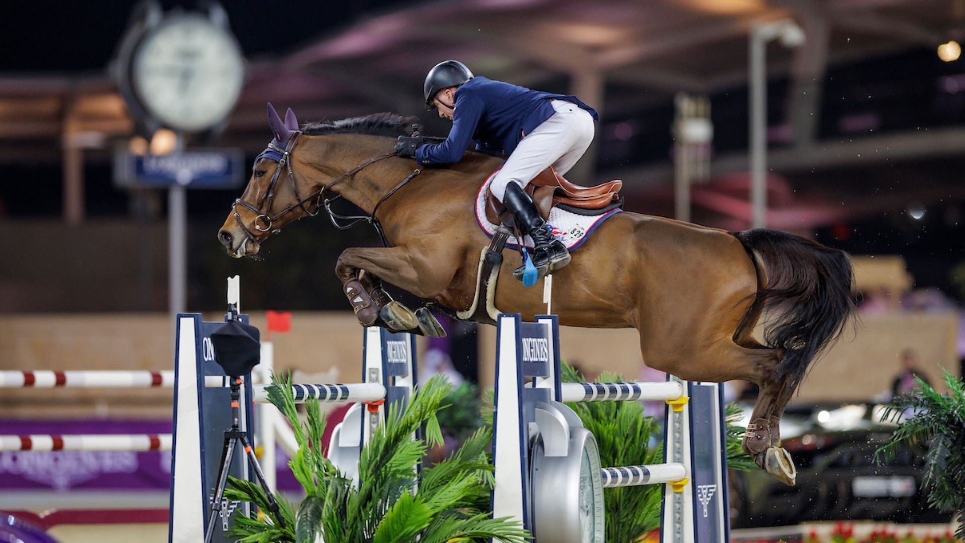 John Whitaker kehrt in die GCL zurück