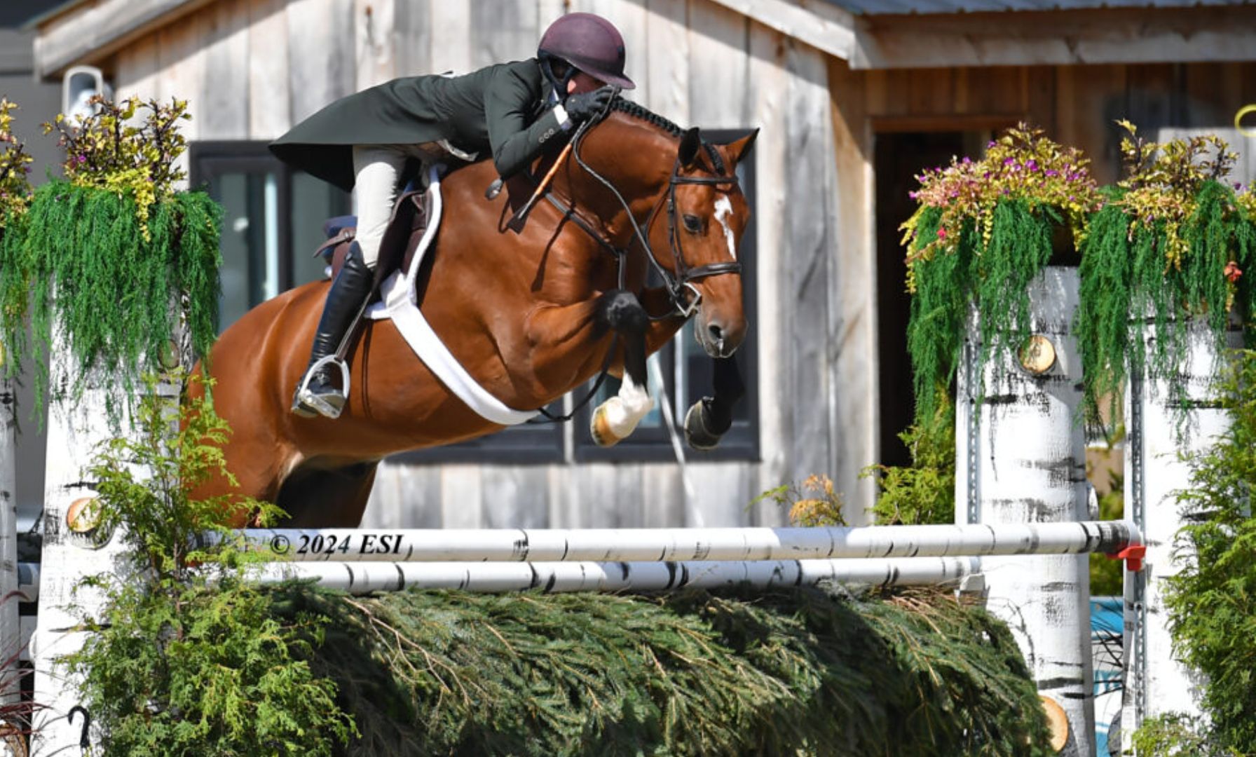 The ClipMyHorse.TV Hunter Classic Season Kicks Off