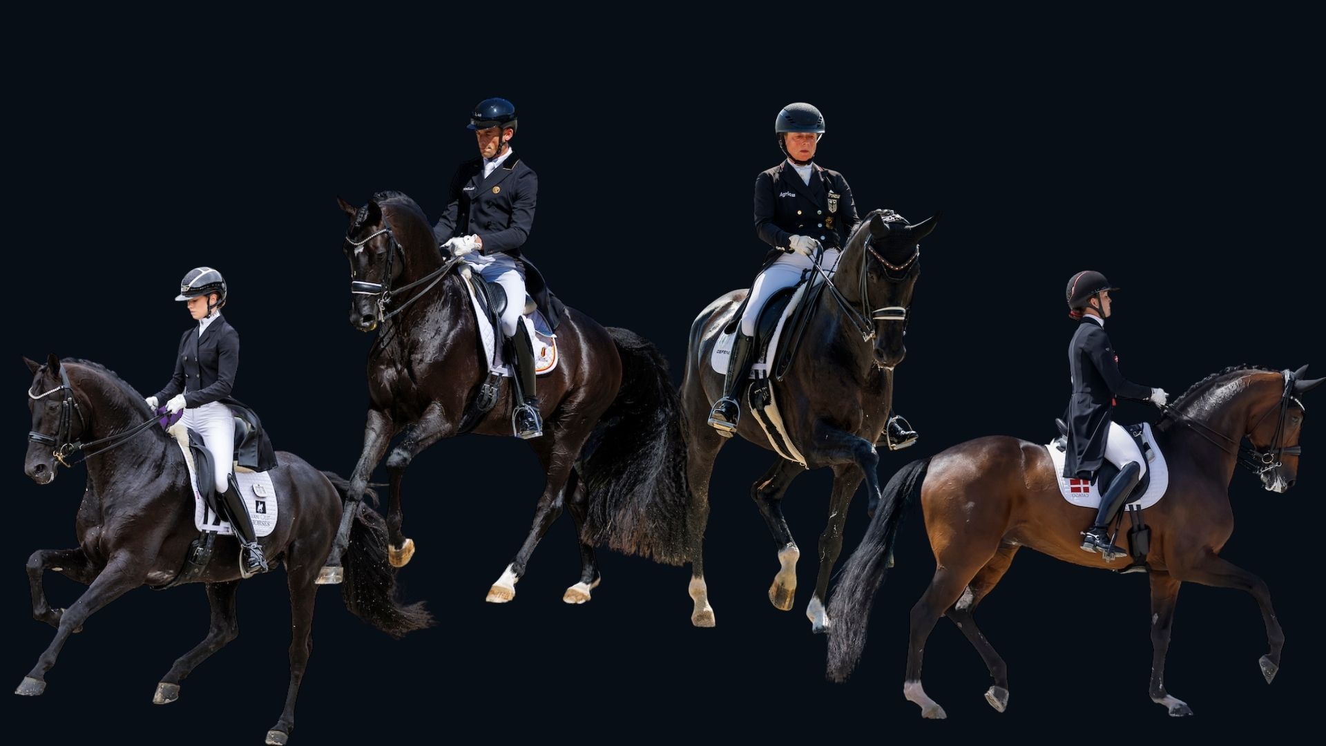 EM Crozet: Wendy de Fontaine vs. Zonik Plus 