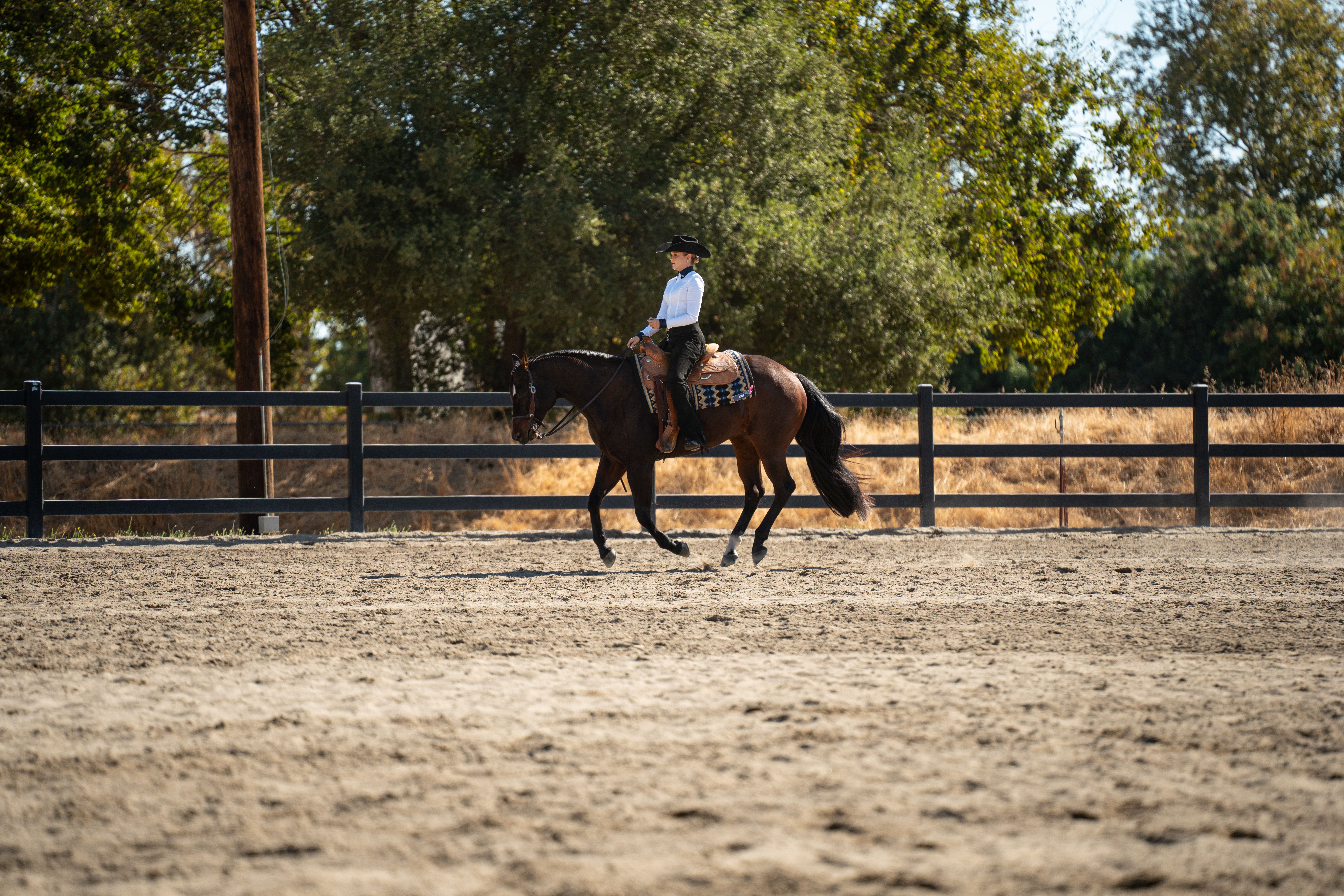 Florida Horse Confirmed Positive for Rabies