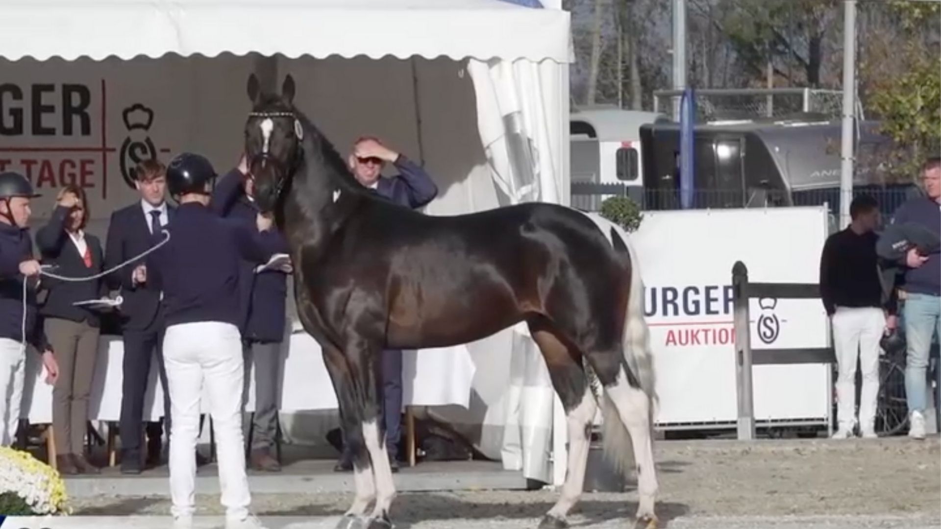 Bunt gescheckt mit “Herz” am Hals: der erste Eindruck bei der OL-Körung