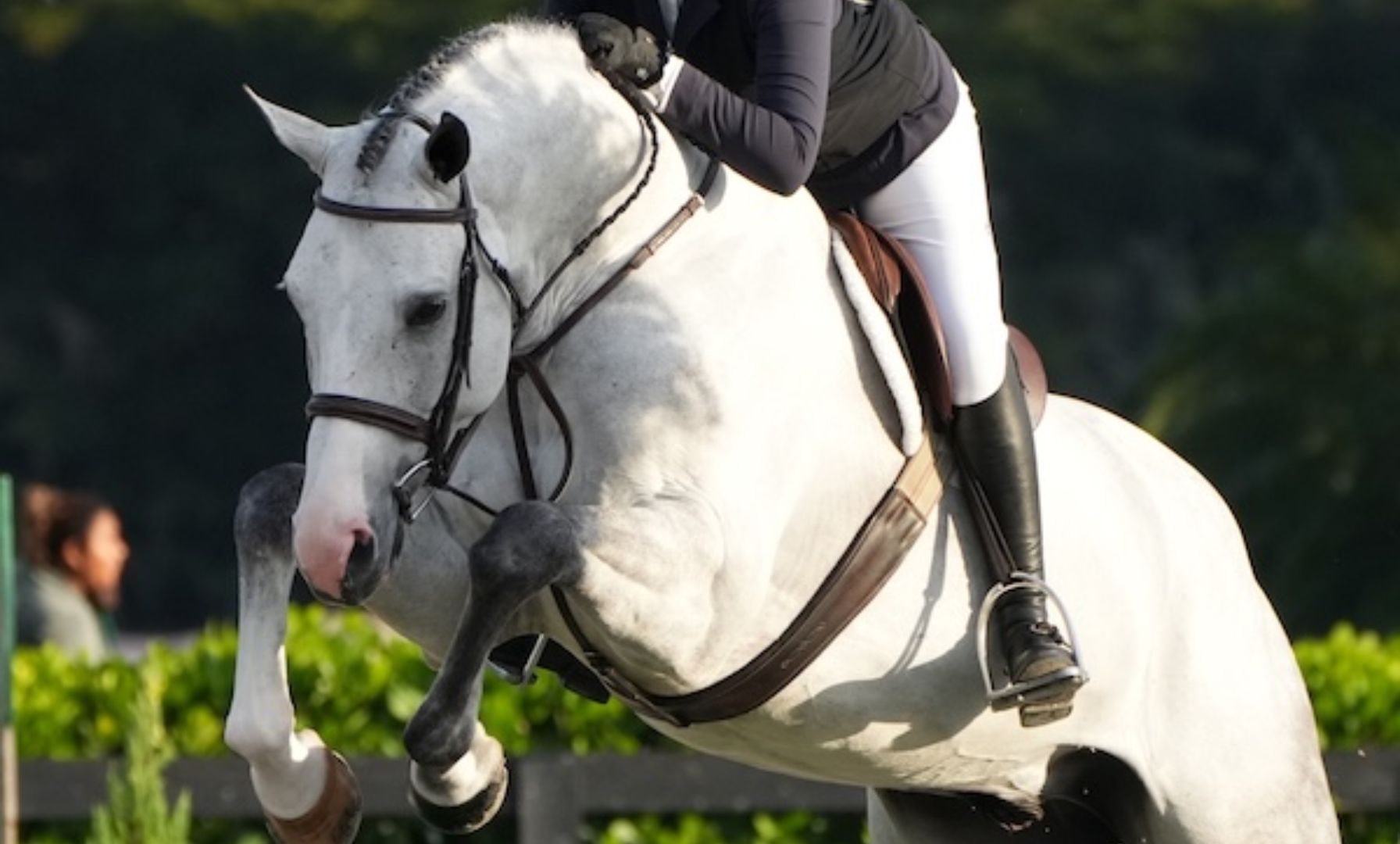 Junior Hunters Shine in Week 1 of Winter Equestrian Festival
