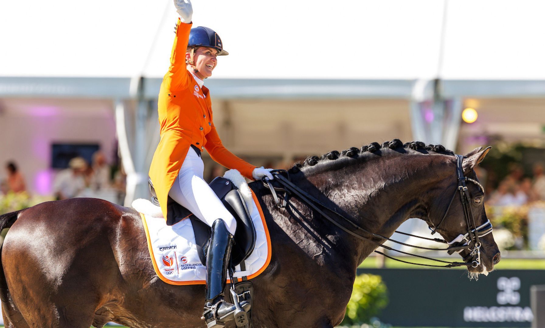 Emmelie Scholtens wird neues Mitglied der KWPN-Hengstkommission Dressur