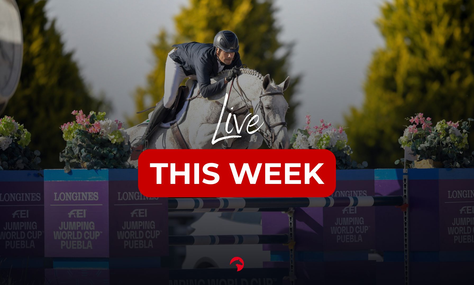 Top-Tier Equestrian Sport: What’s Live This Week