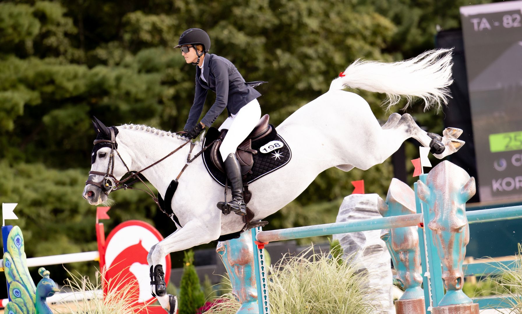 Major League Show Jumping Individual Standings