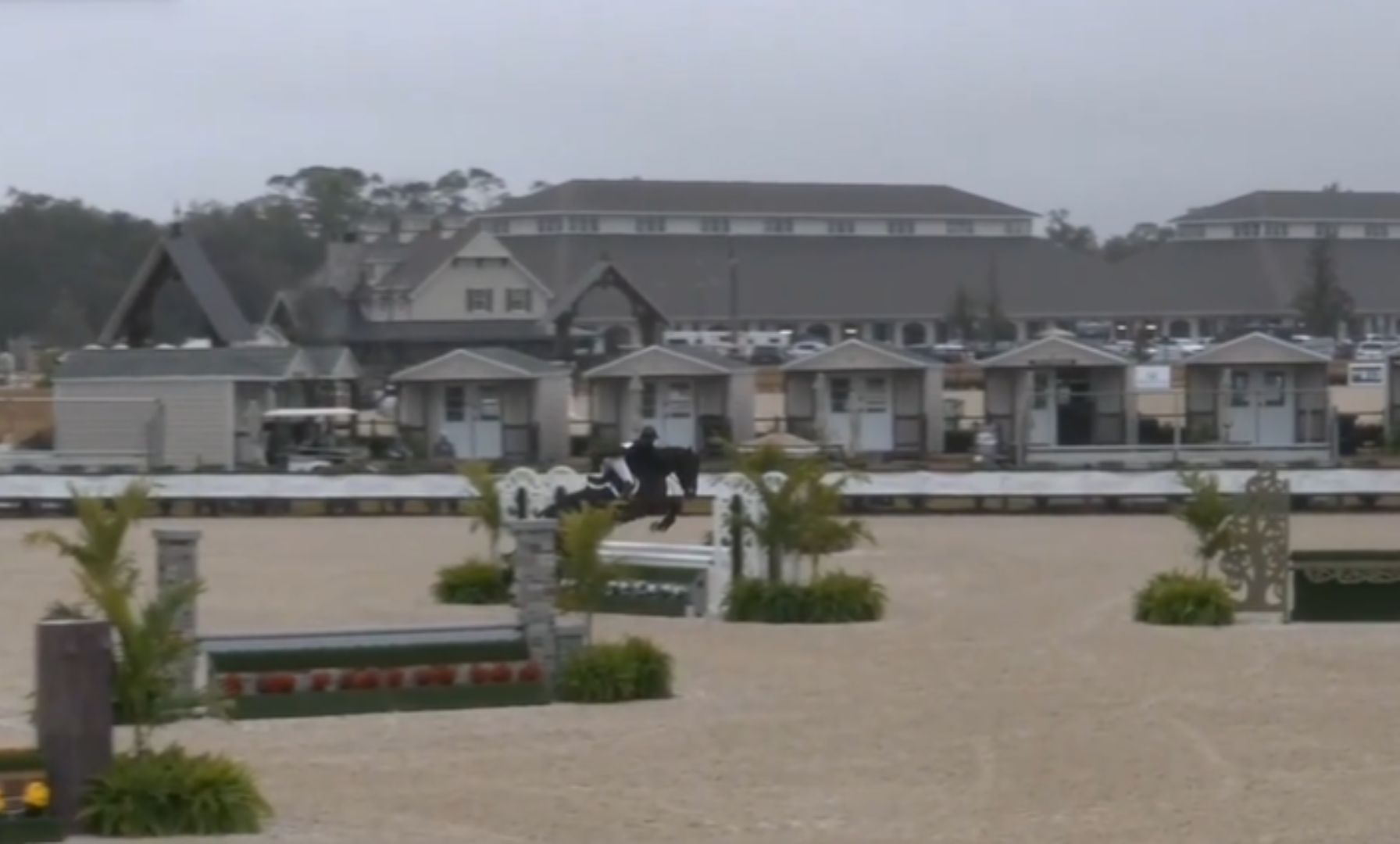 Carlsen and Paladin VA Take Top Honors in $5,000 USHJA National Hunter Derby at TerraNova