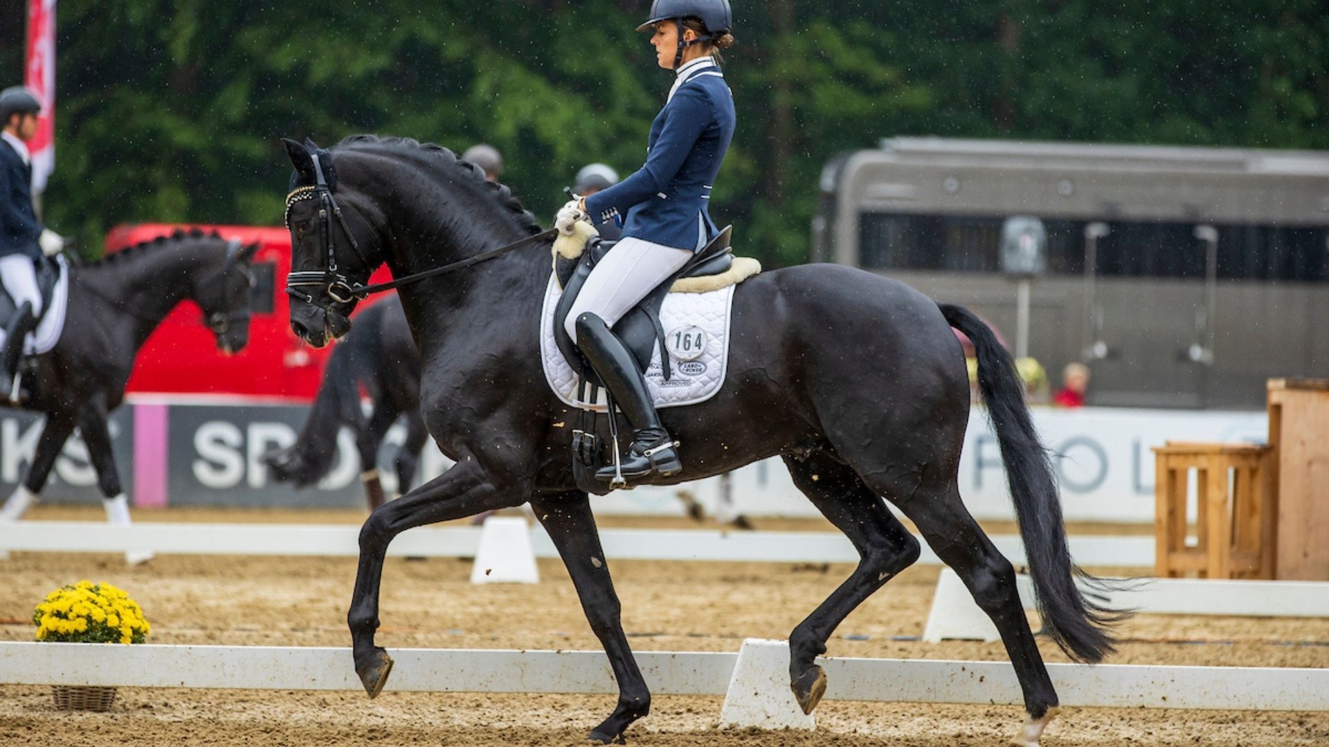 Fashion in Black wechselt in die Niederlande