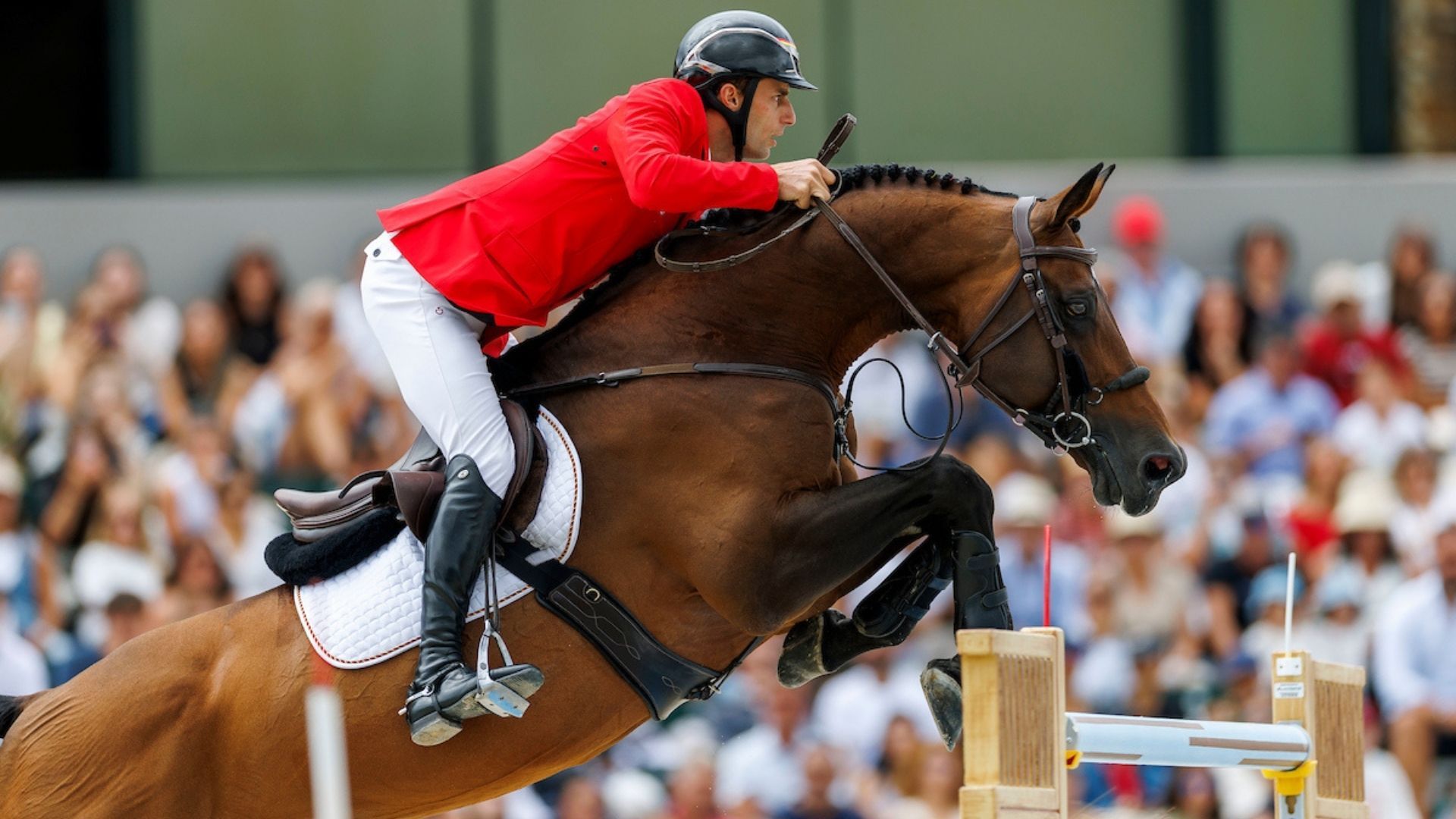 CSIO5* Dublin 2025: Nationenpreis und Grand Prix
