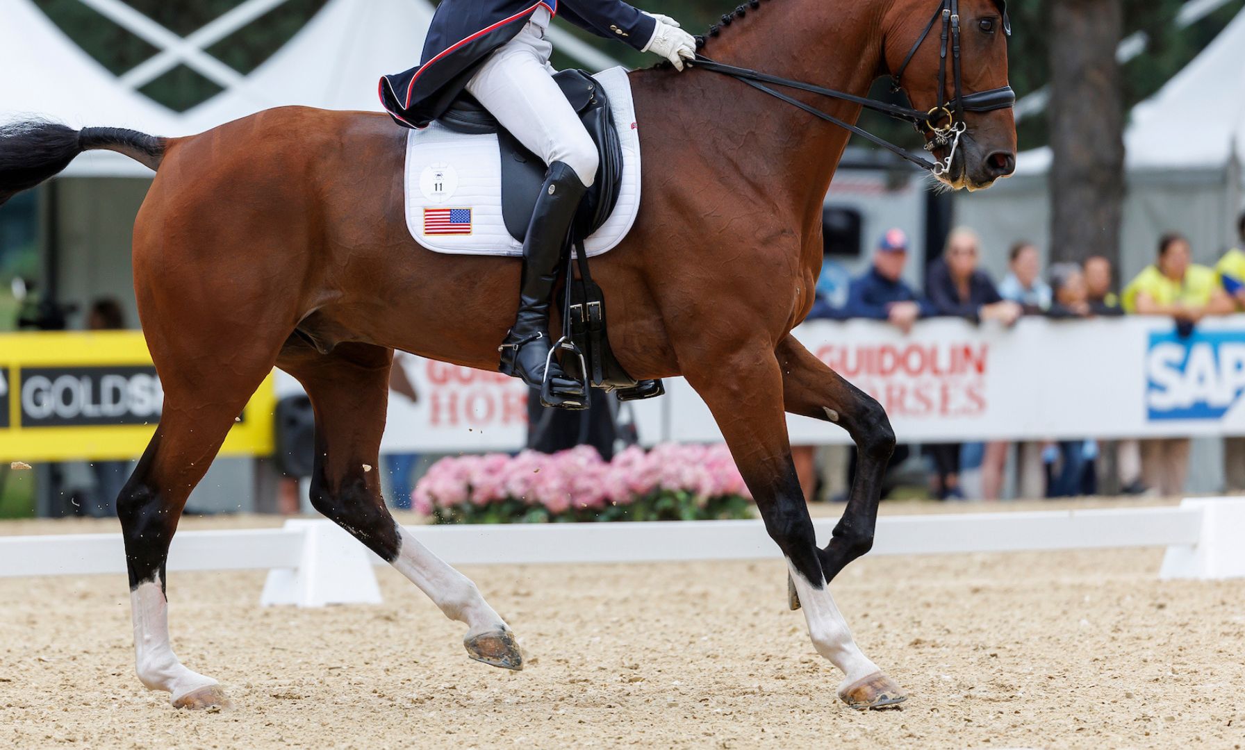 2026 US Dressage Grand Prix Championship Set for Spring