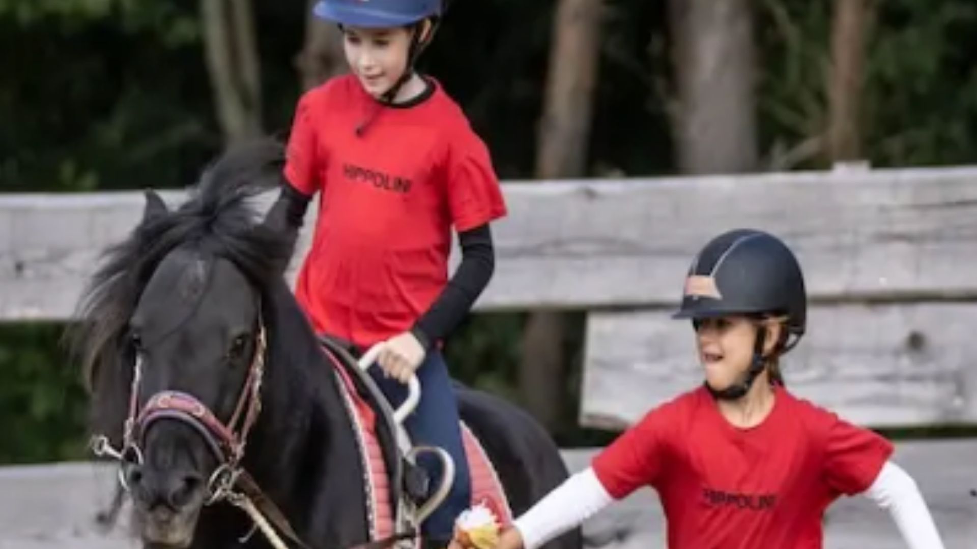 FN und Hippolini kooperieren für nachhaltige Wissensvermittlung