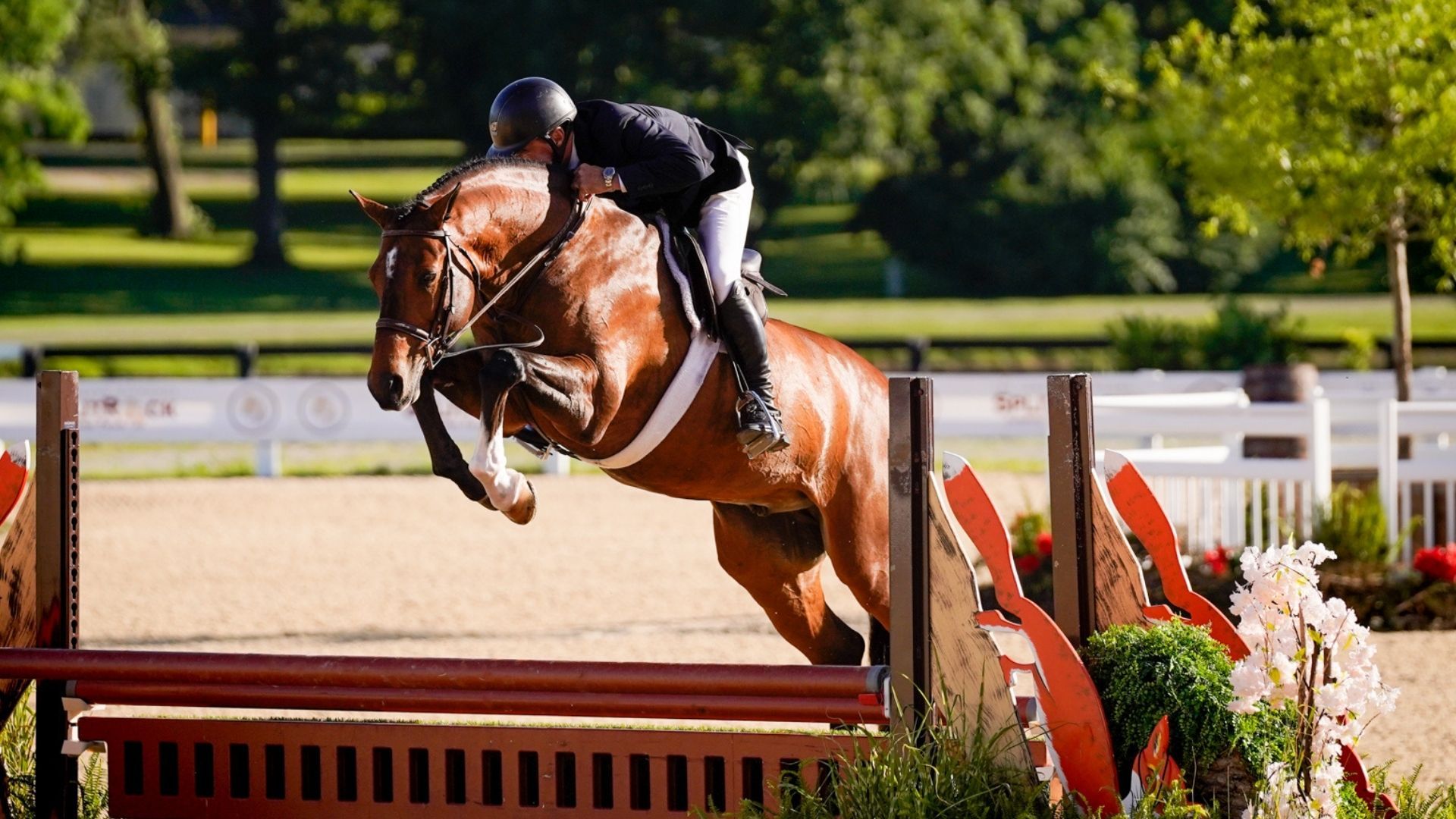 Nick Haness Reclaims the Spotlight in $30,000 WCHR Professional Finals