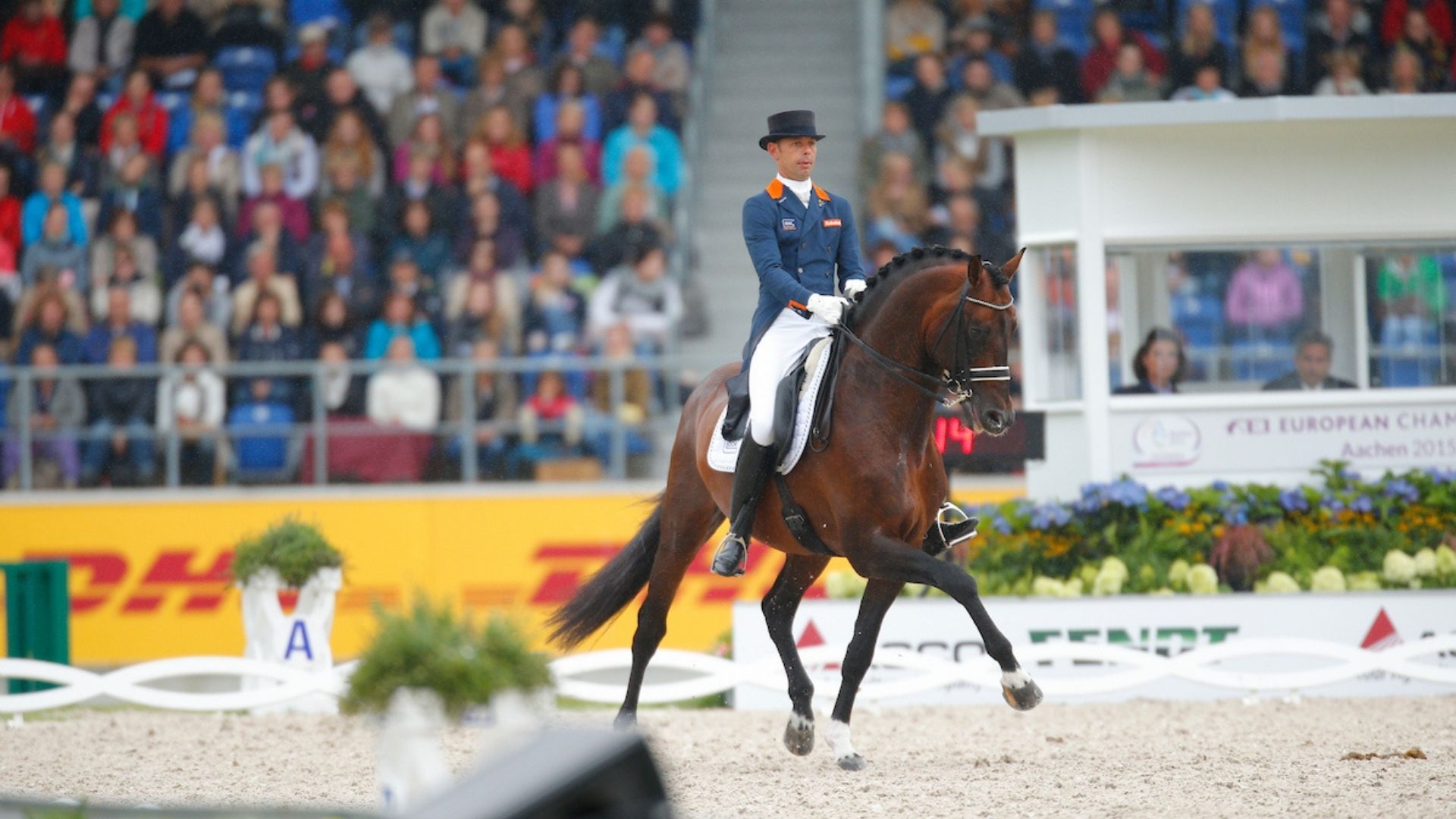 Johnson bleibt an der Spitze des WBFSH-Dressur-Rankings!
