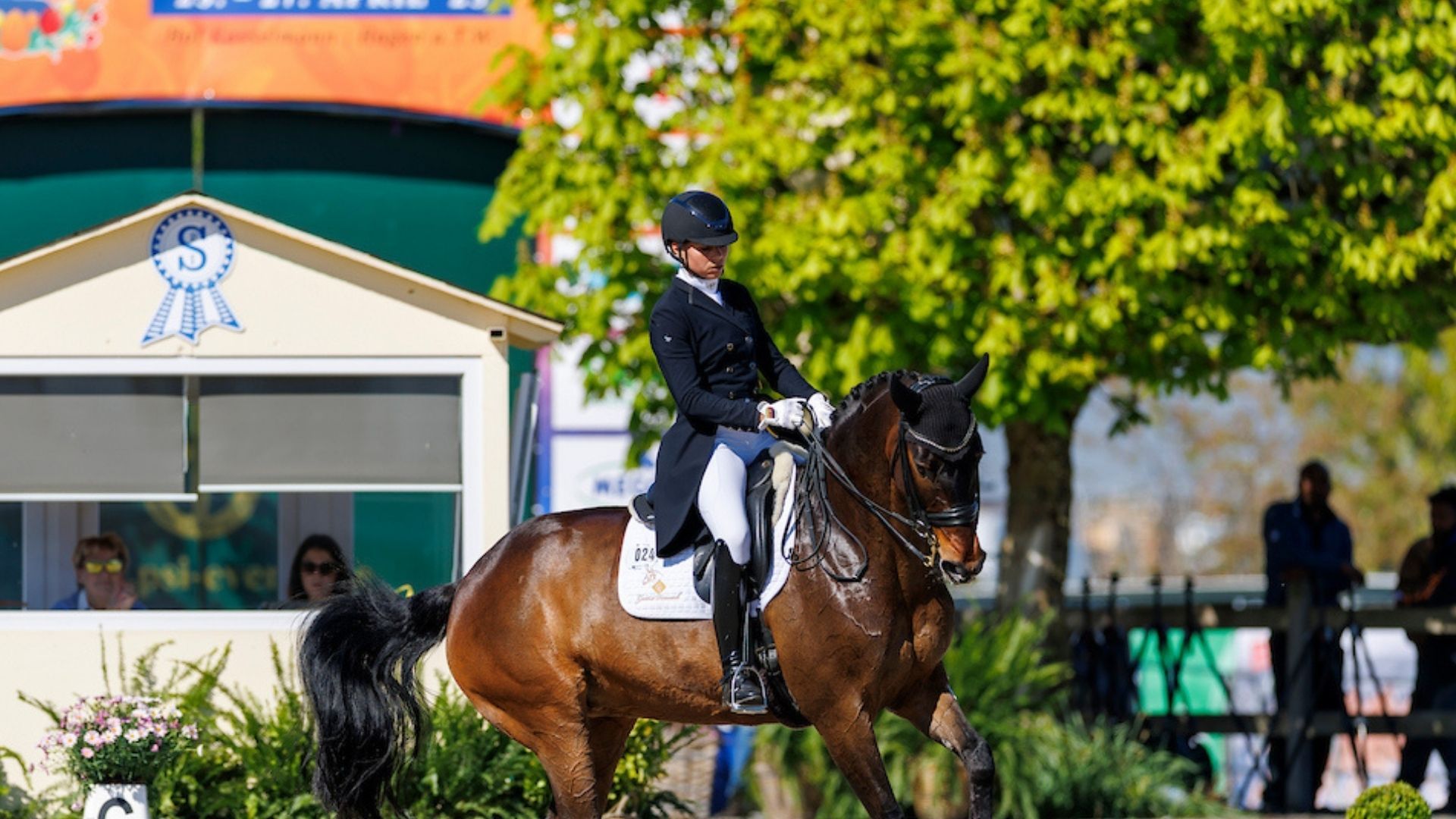 Laura Strobel gewinnt mit Sister Act MT OLD CDI4* Grand Prix Special in Achleiten