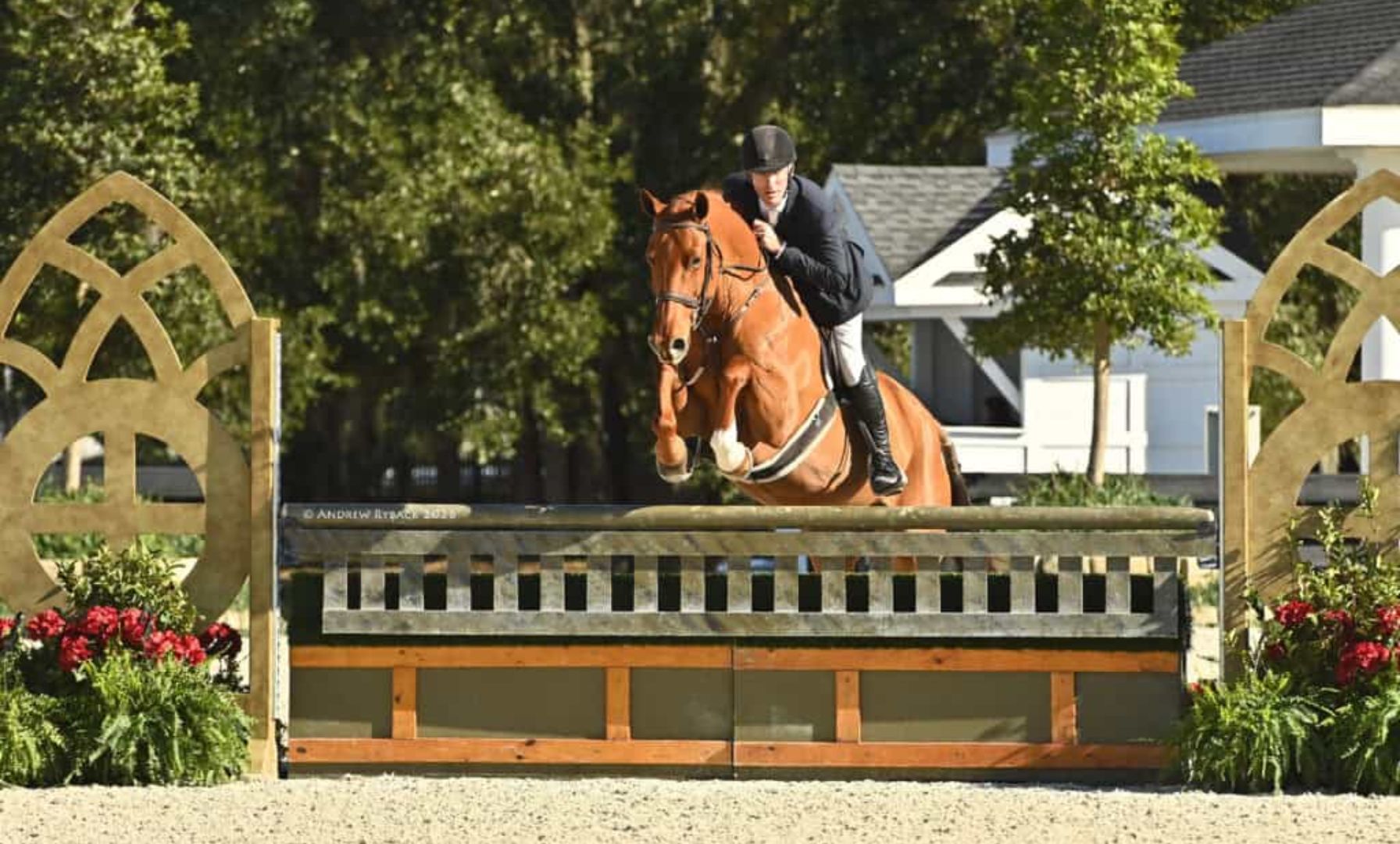 Daniel Geitner & Walk The Moon Capture $20,000 Golden Ocala 3’6”–3’9” Hunter Derby Victory